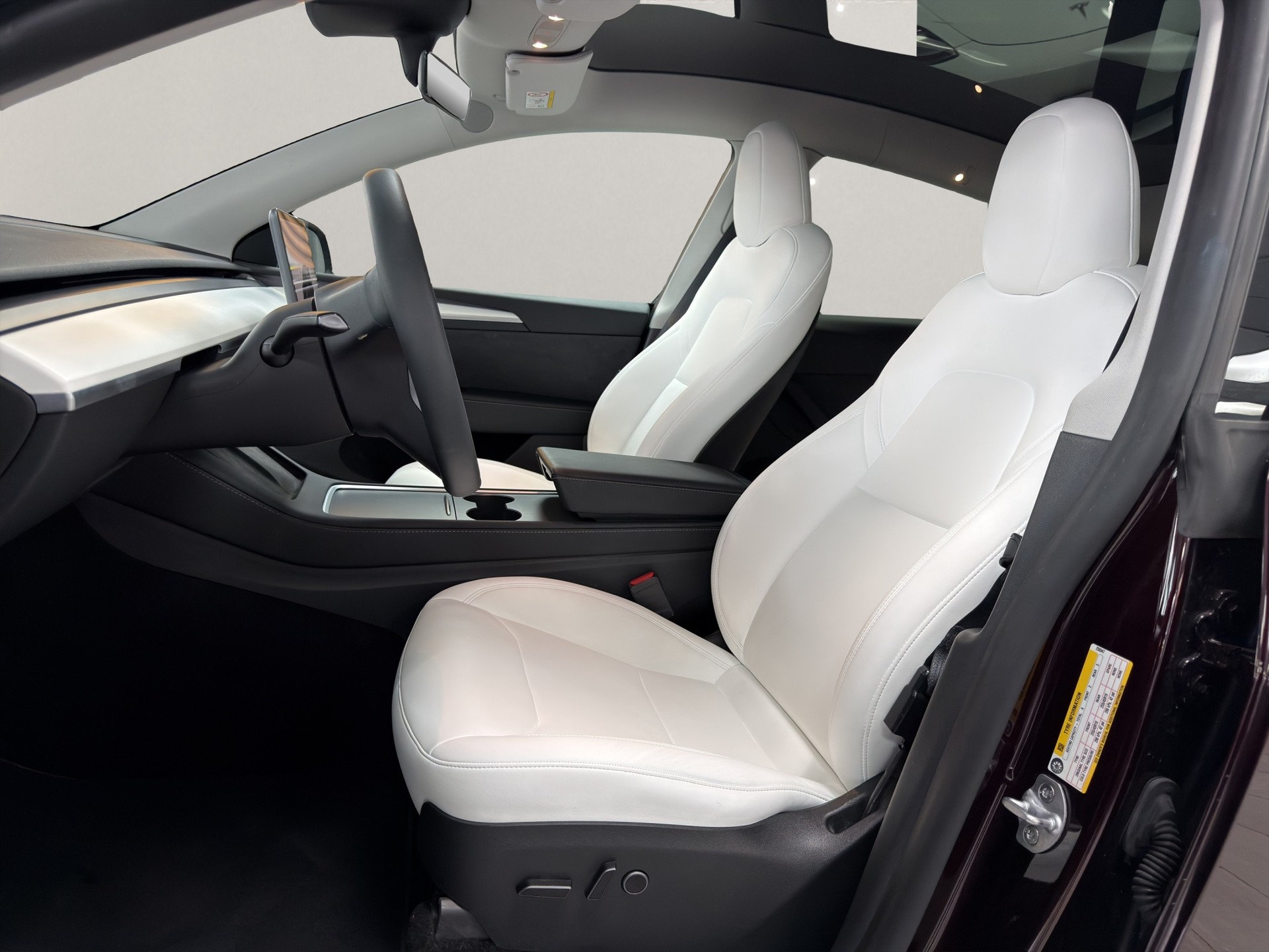 TESLA Model Y Long Range mit Anhängerkupplung-image-5