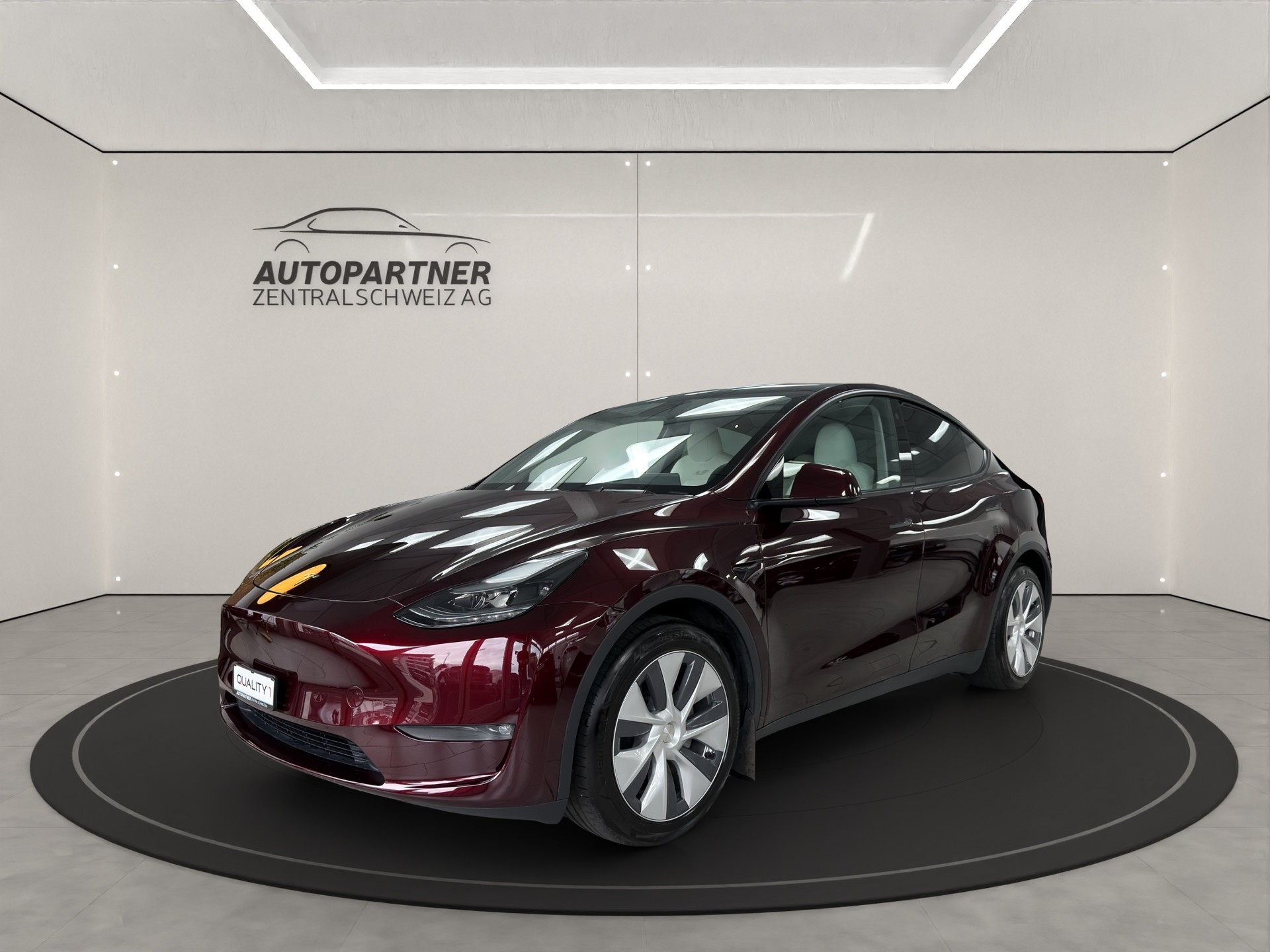 TESLA Model Y Long Range mit Anhängerkupplung-image-1