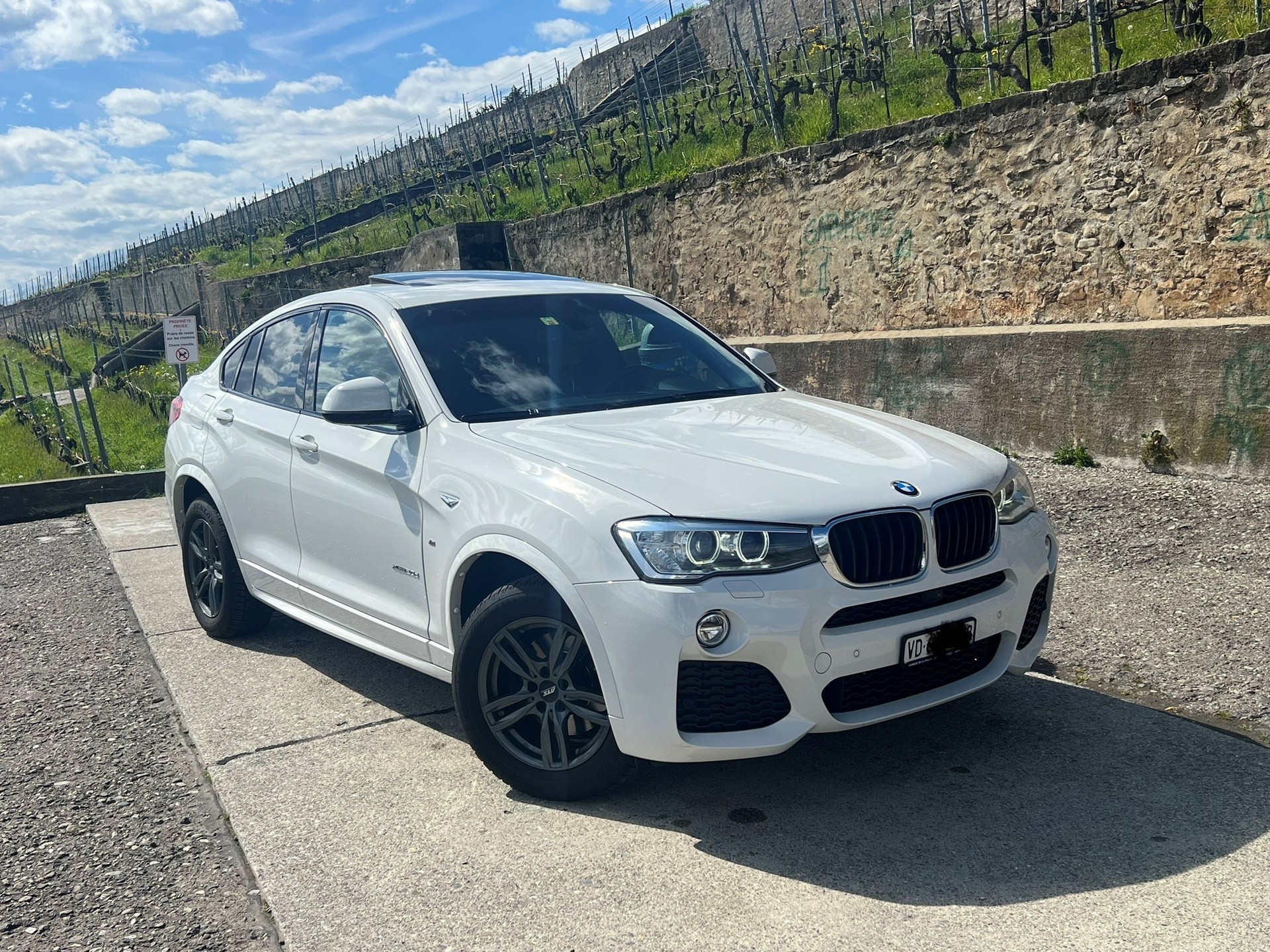 BMW X4 xDrive 20d xLine Steptronic-image-12