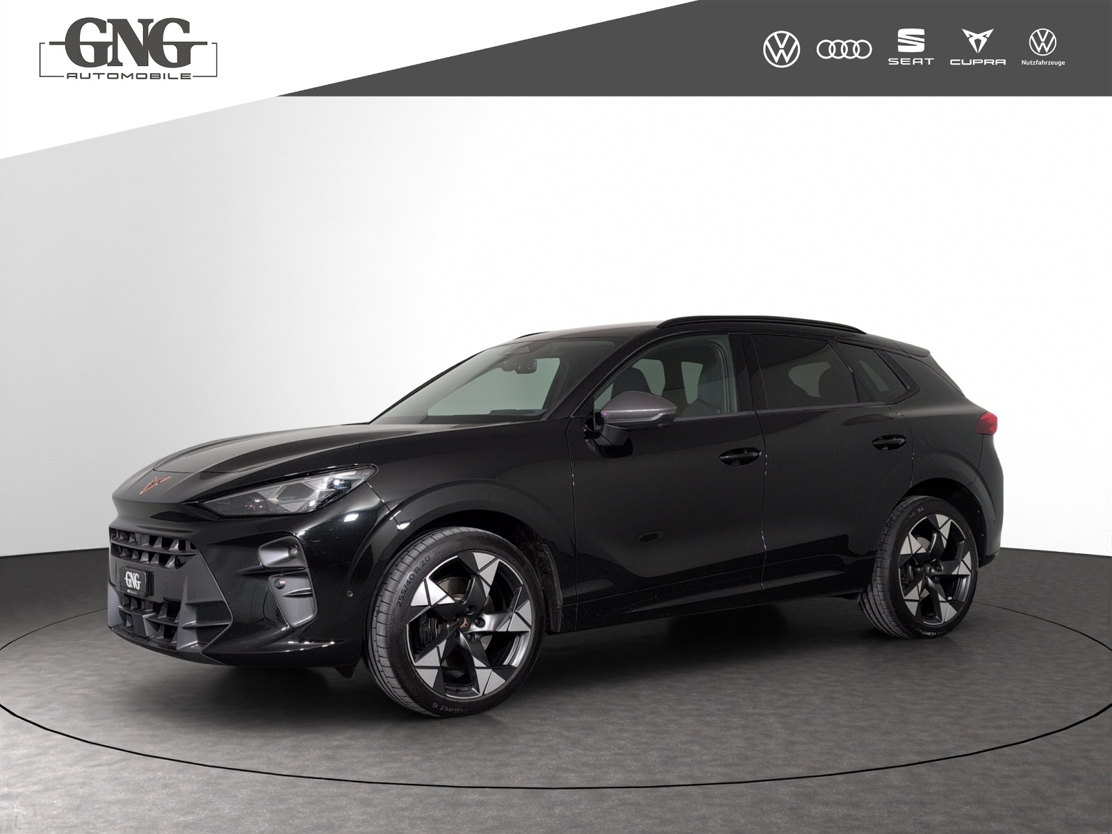 CUPRA Terramar 2.0 TSI DSG 4Drive VZ-image-0