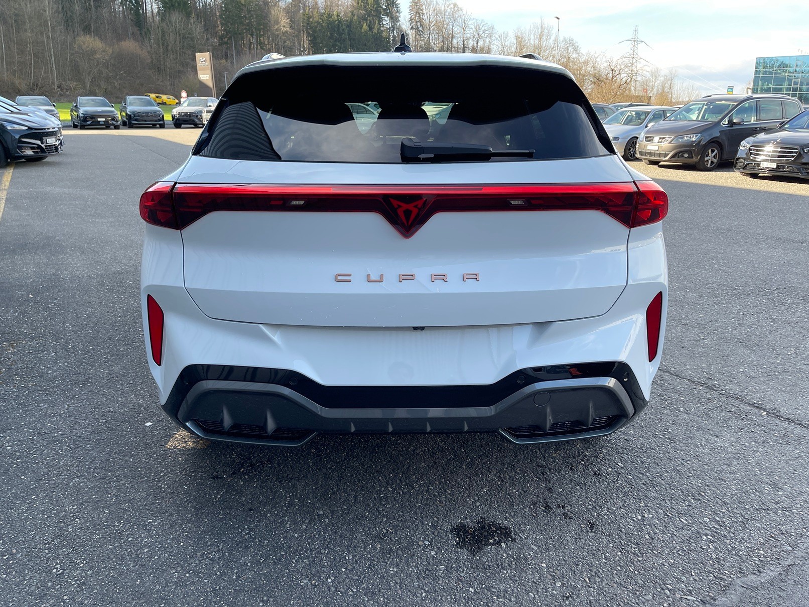 CUPRA Terramar 1.5 eTSI Prime Edition DSG-image-3