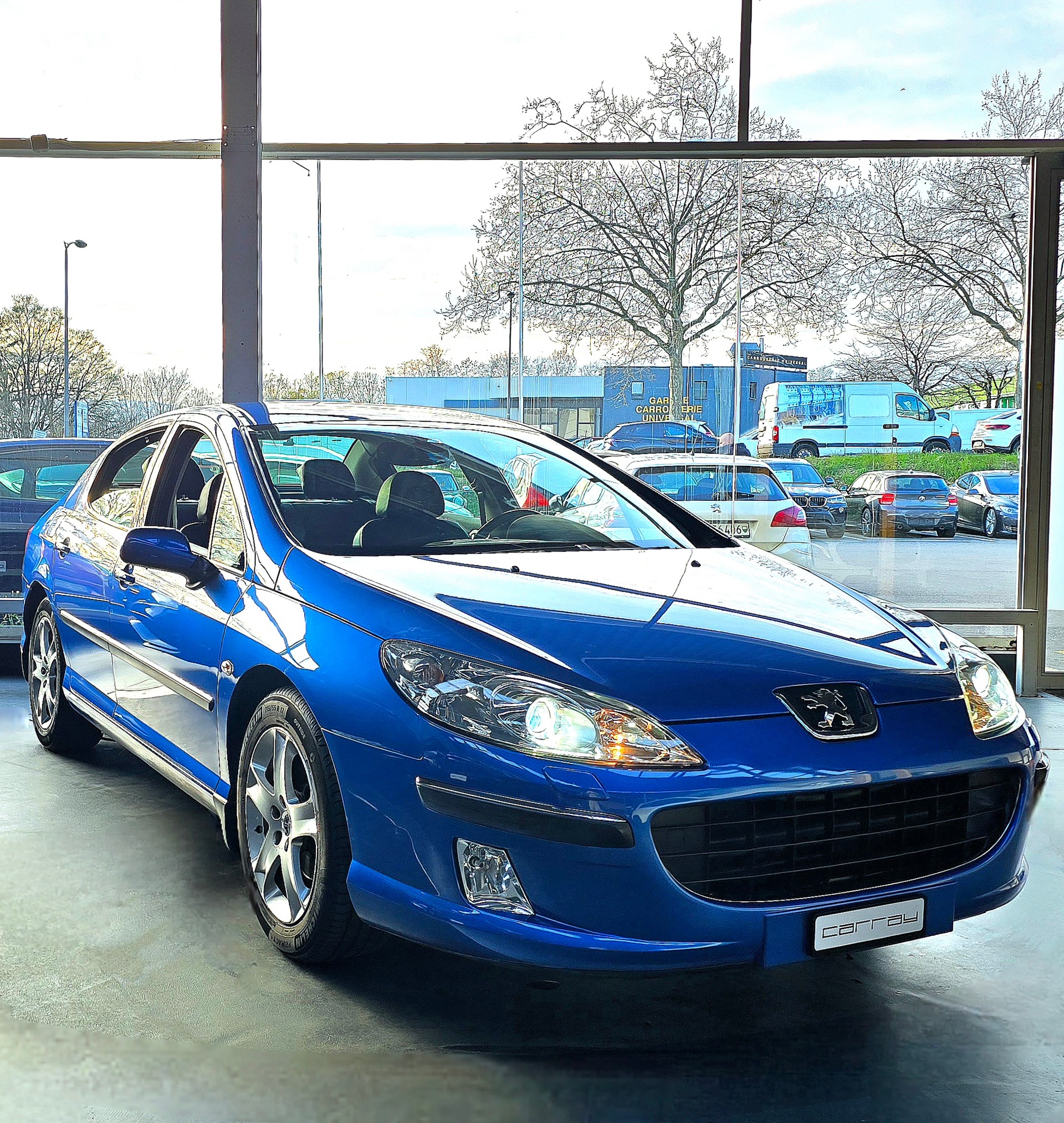 PEUGEOT 407 2.0 HDI SV Executive-image-12