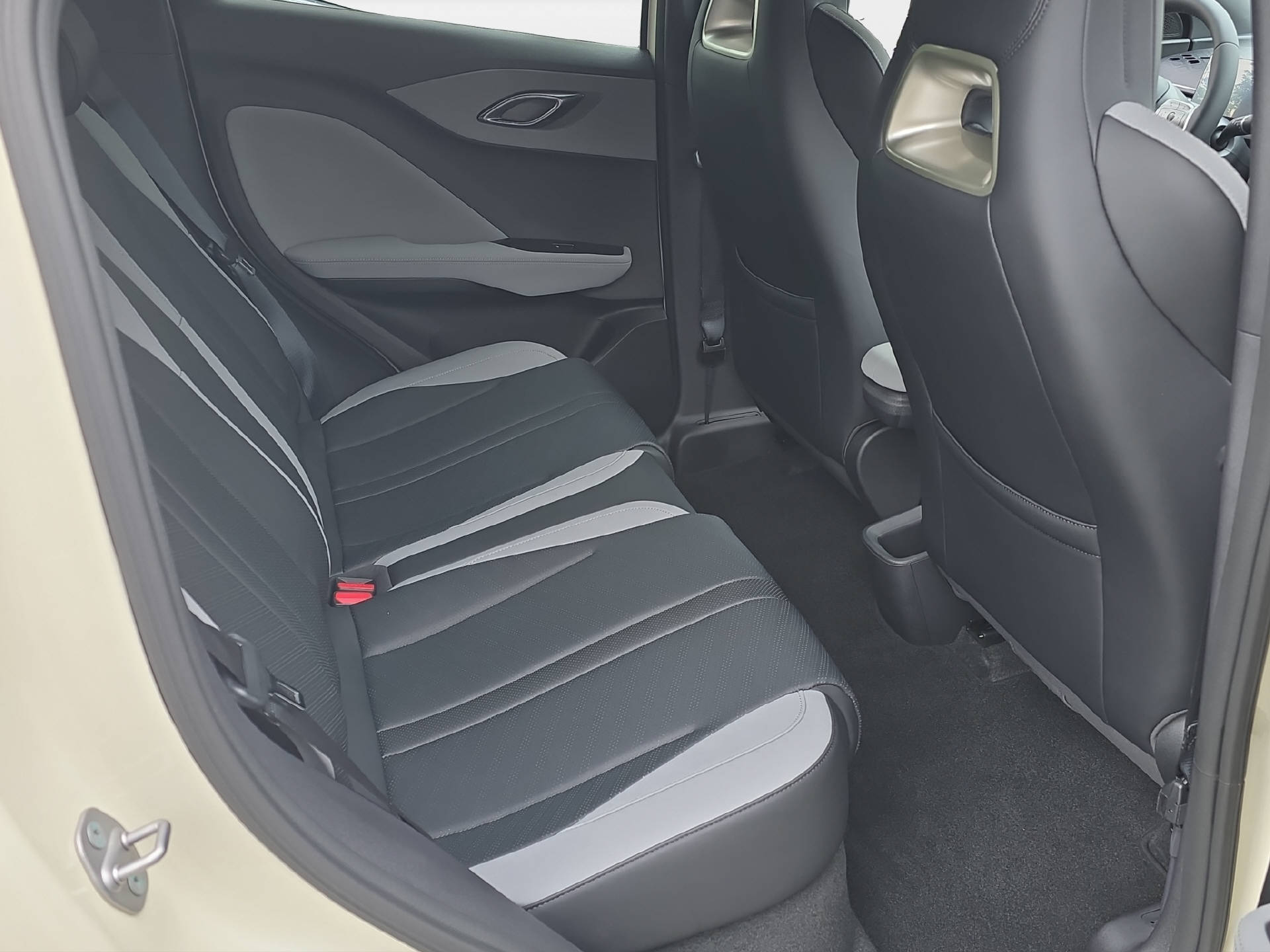 BYD Dolphin Surf Comfort-image-10