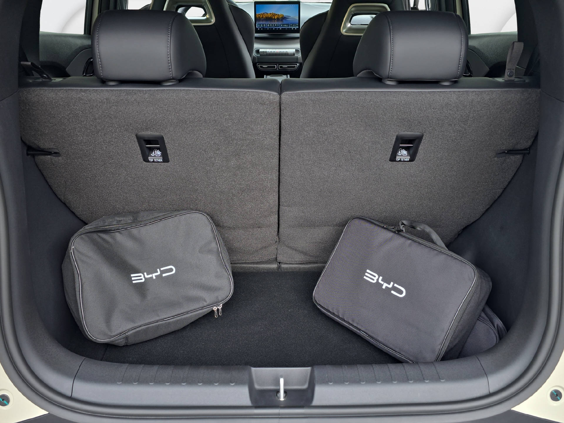 BYD Dolphin Surf Comfort-image-11