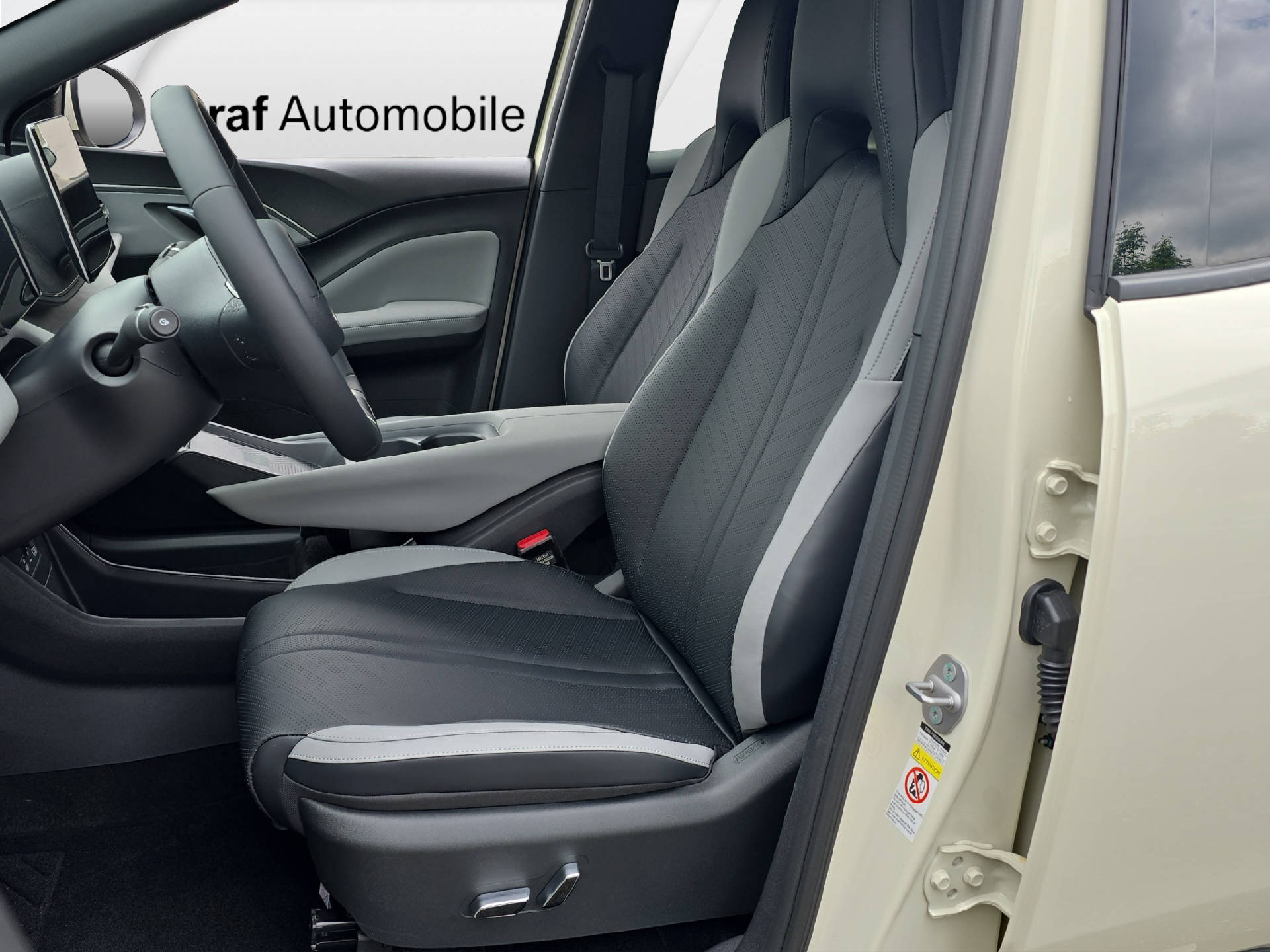 BYD Dolphin Surf Comfort-image-7