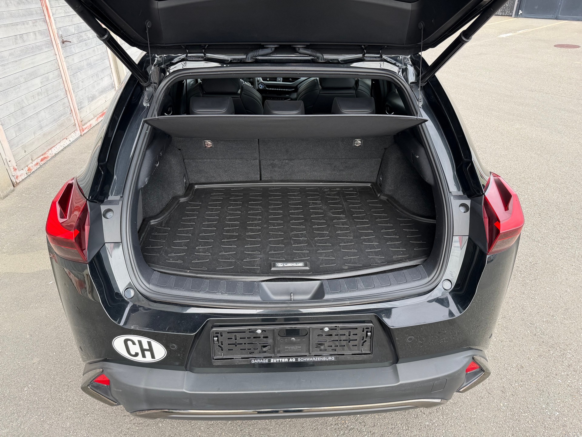 LEXUS UX 250h F Sport AWD Automatic-image-7