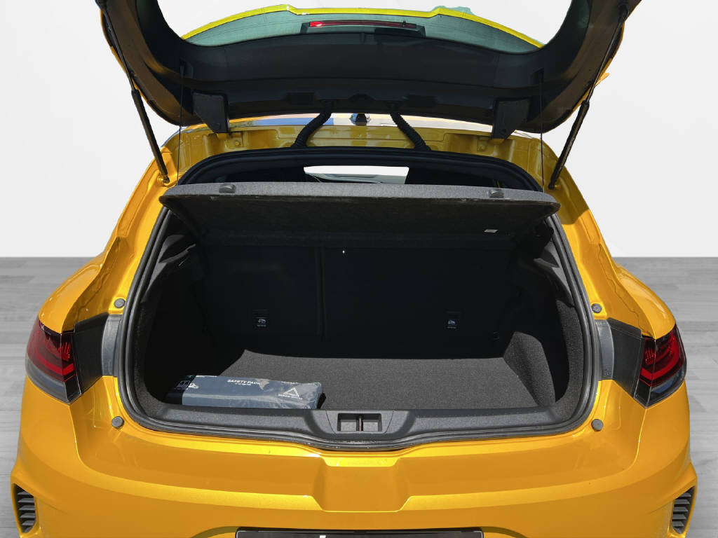 RENAULT Mégane Trophy 300 EDC-image-9