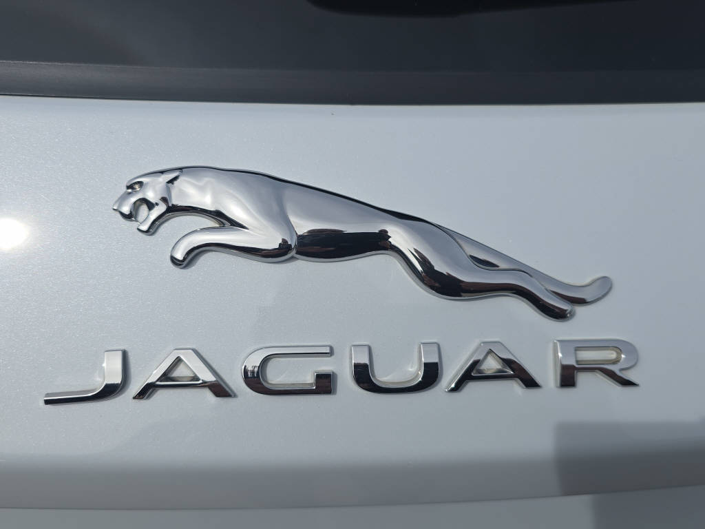 JAGUAR E-Pace 2.0 T 250 First Edition AWD-image-17