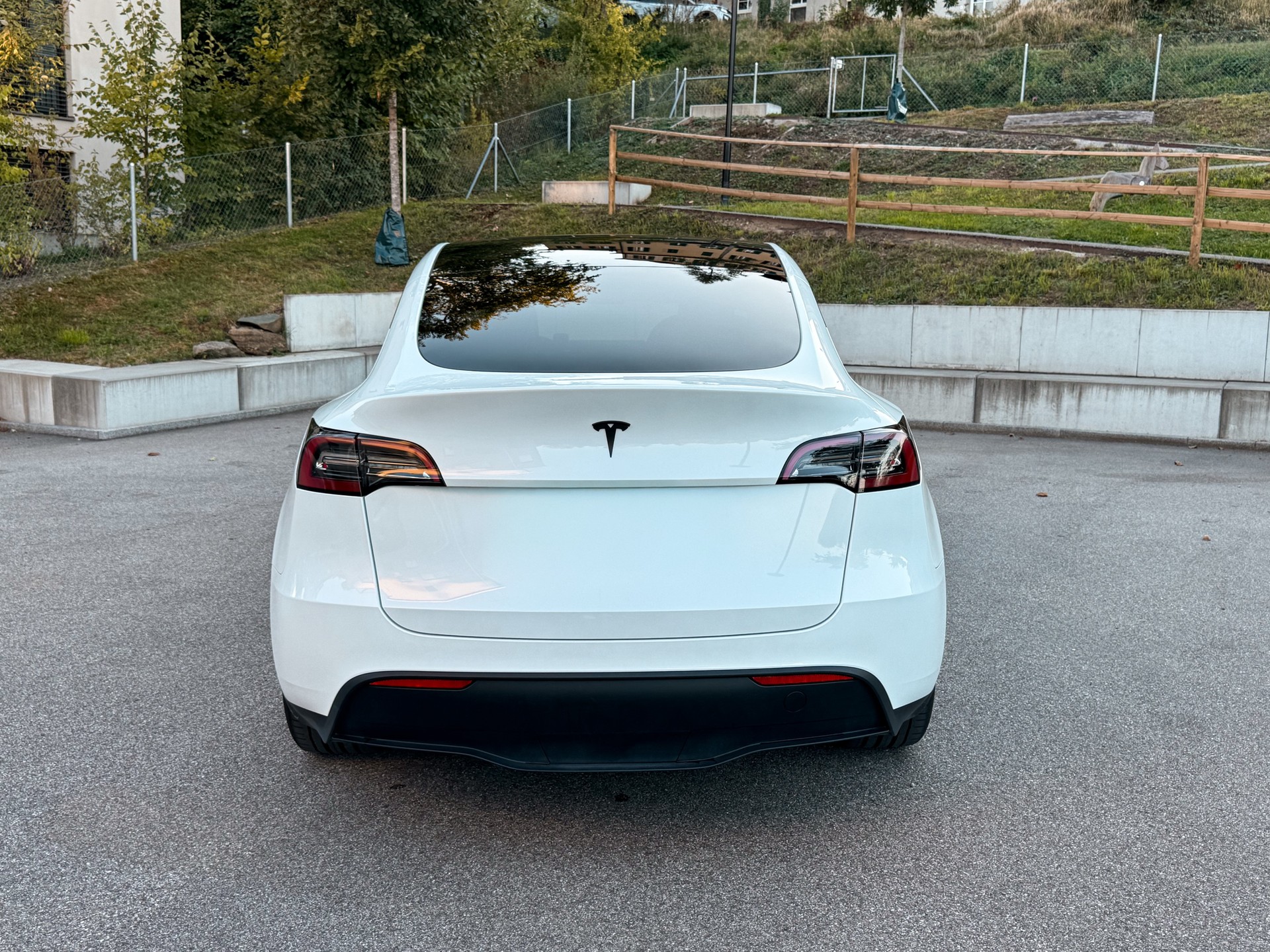 TESLA Standard RWD-image-4