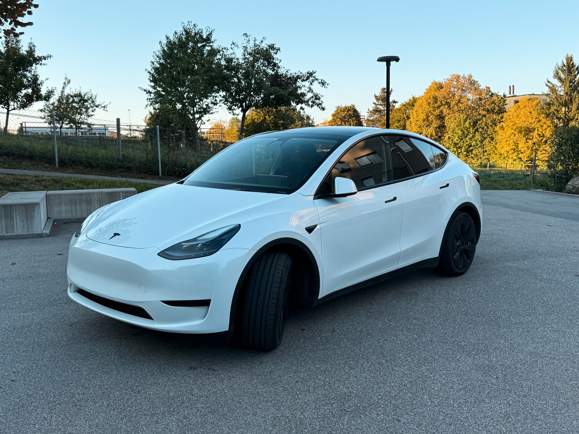 TESLA Standard RWD-image-1