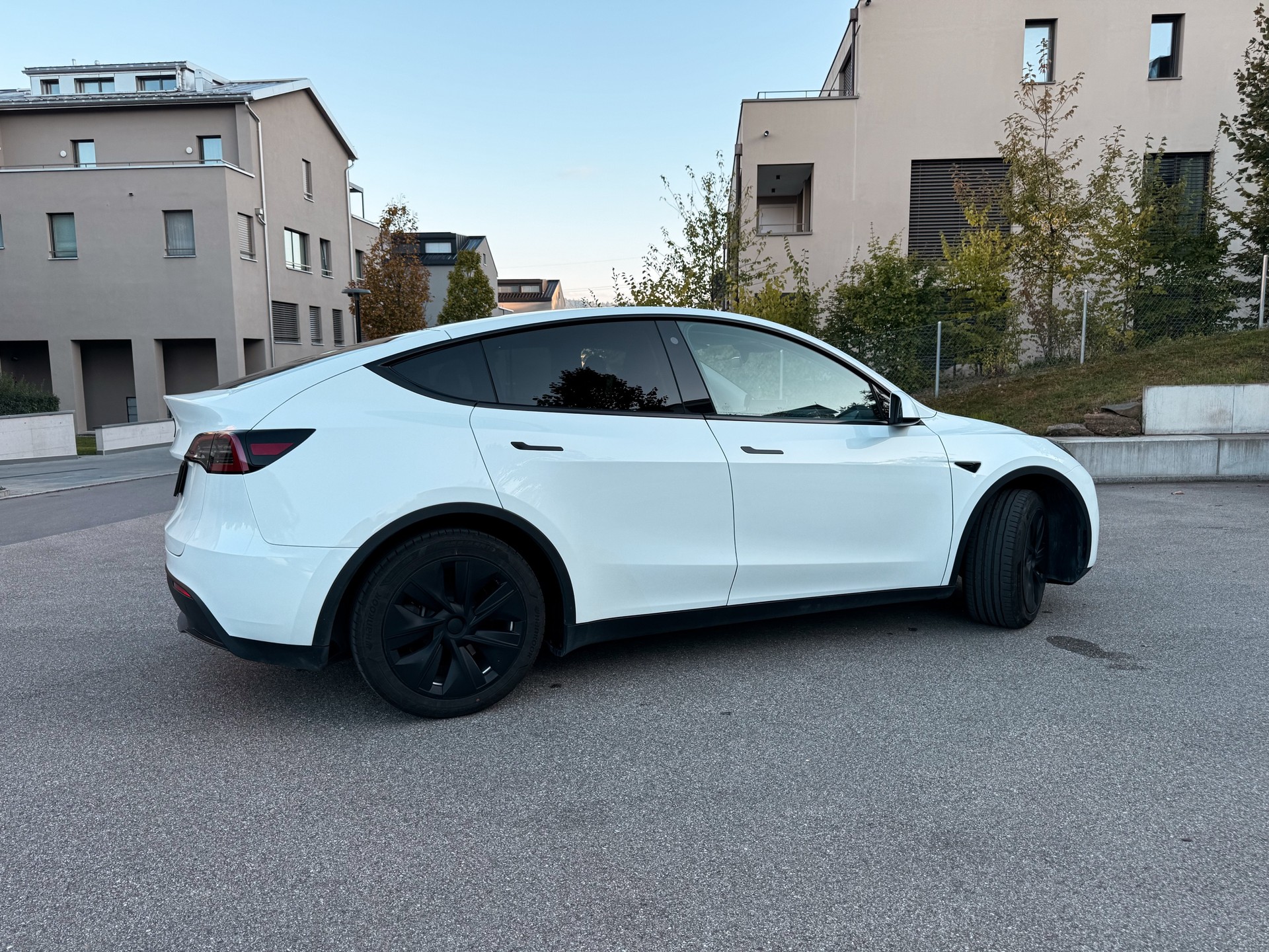 TESLA Standard RWD-image-2