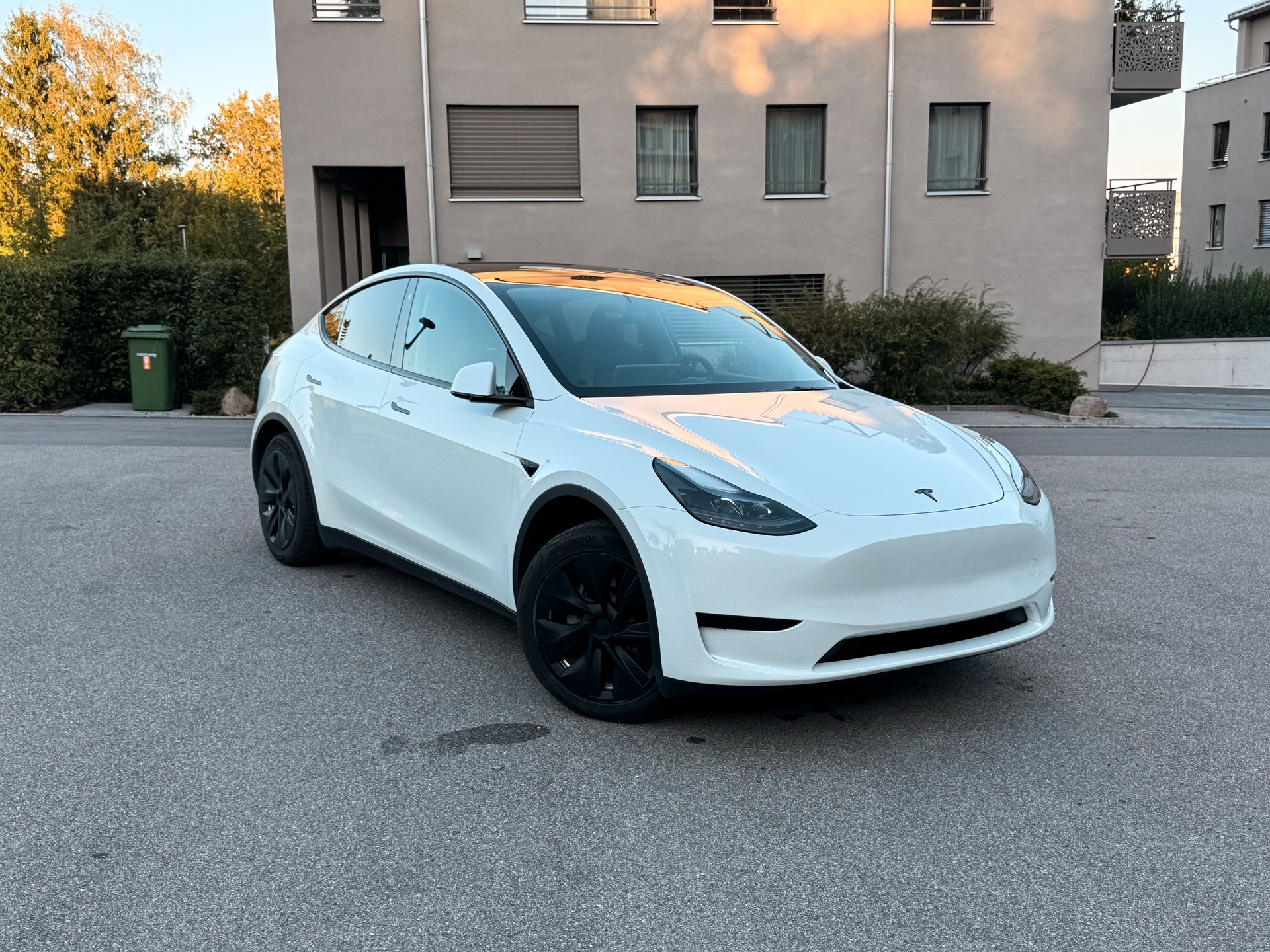 TESLA Standard RWD-image-0