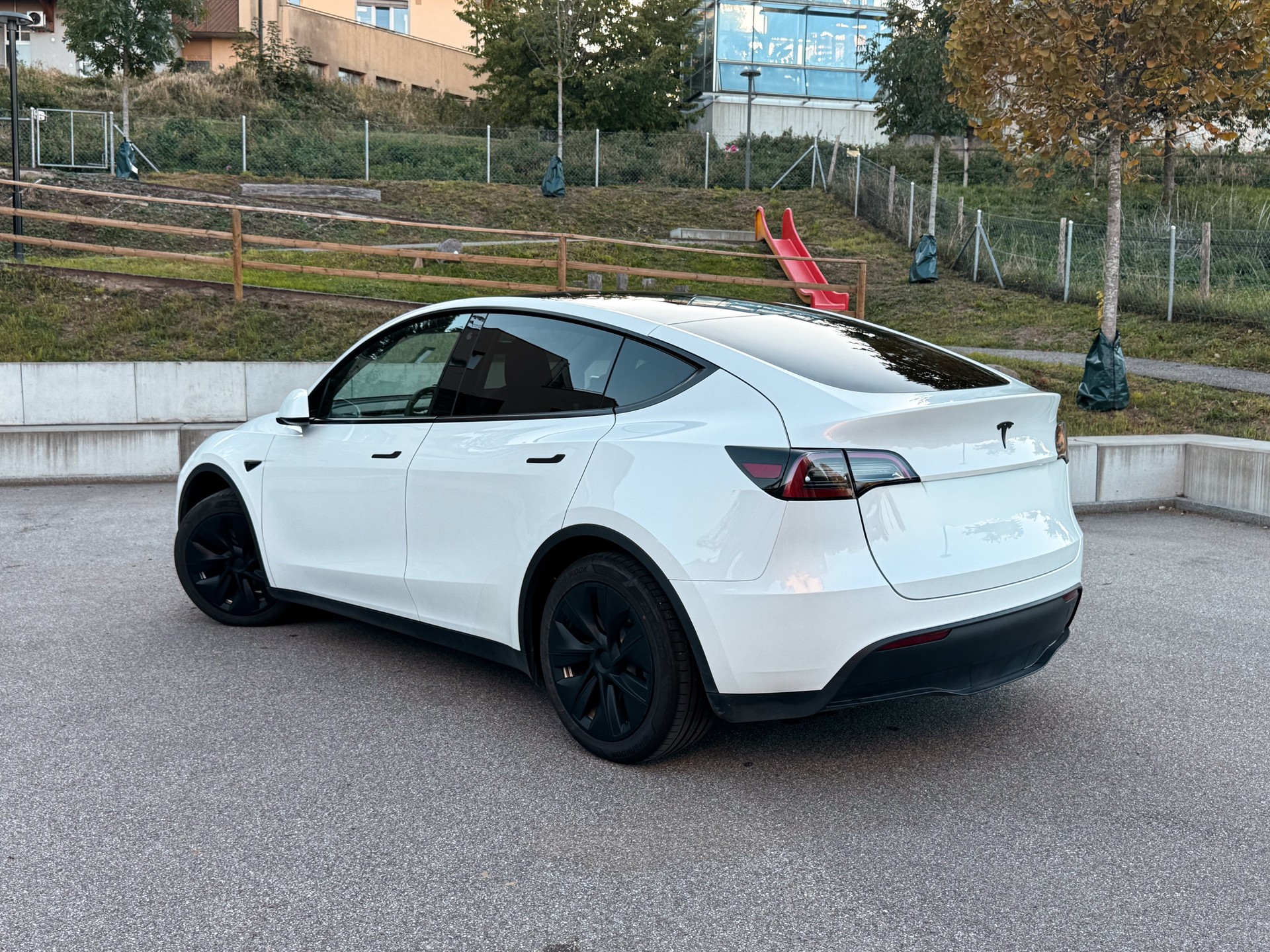 TESLA Standard RWD-image-3