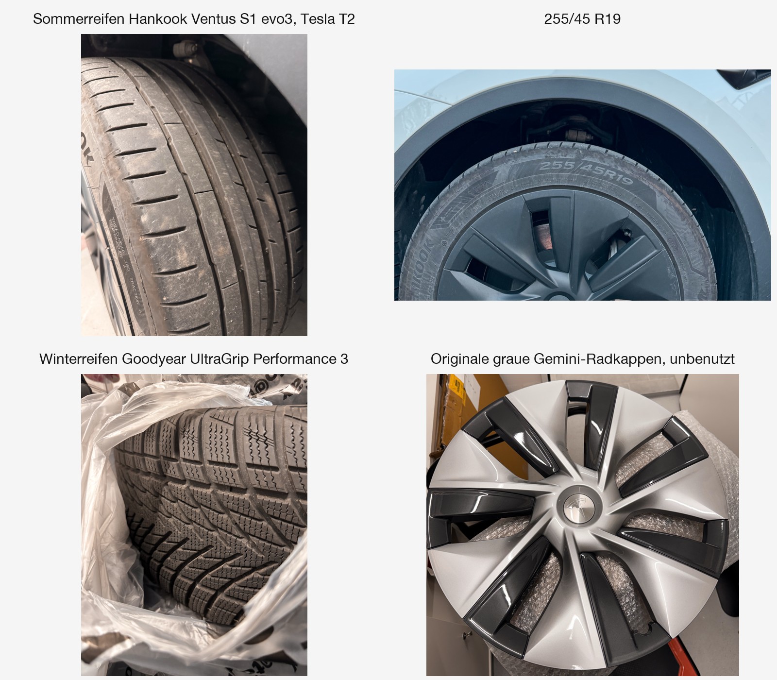 TESLA Standard RWD-image-6