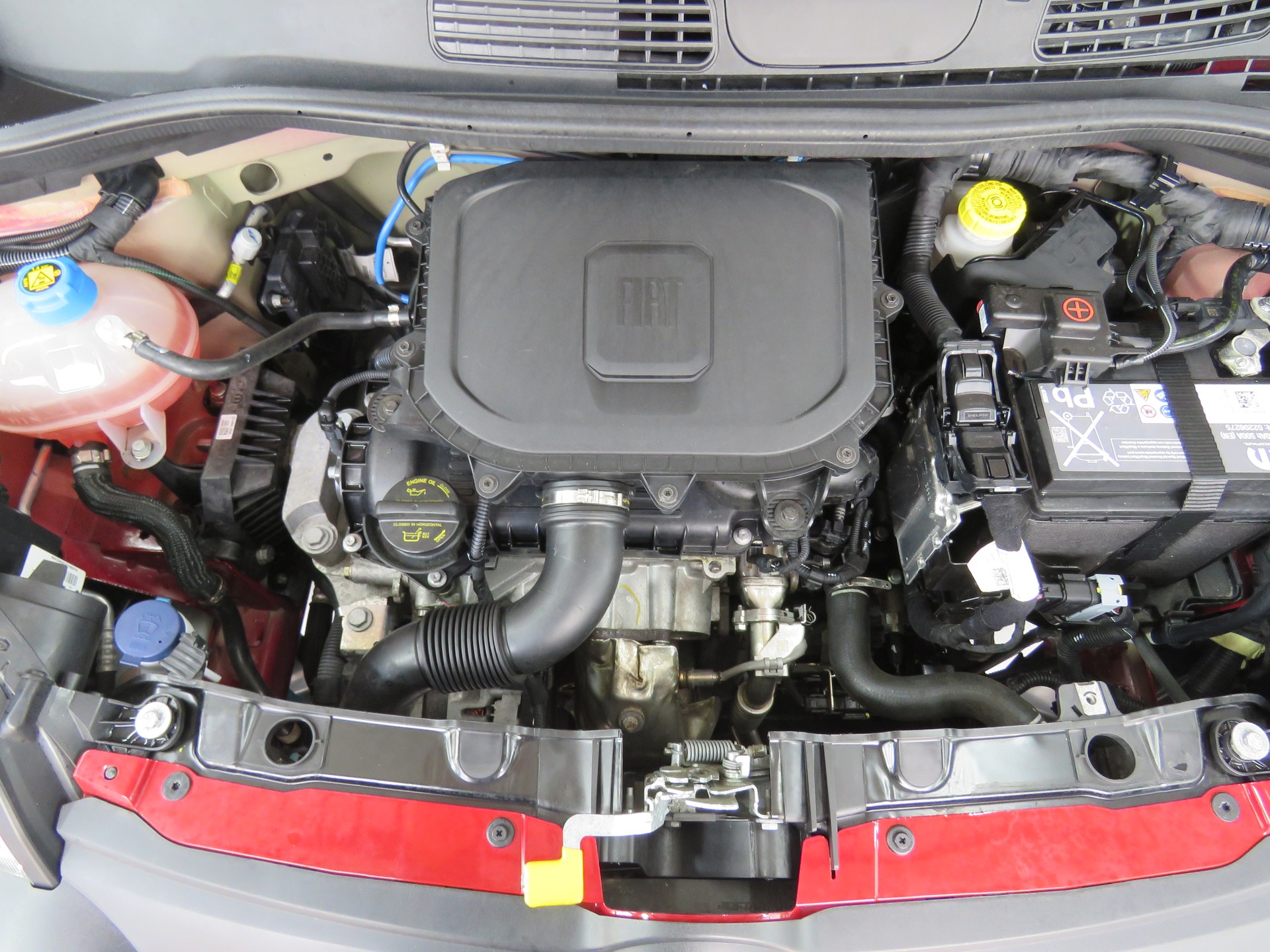 FIAT Panda 1.0 MHEV RED-image-20