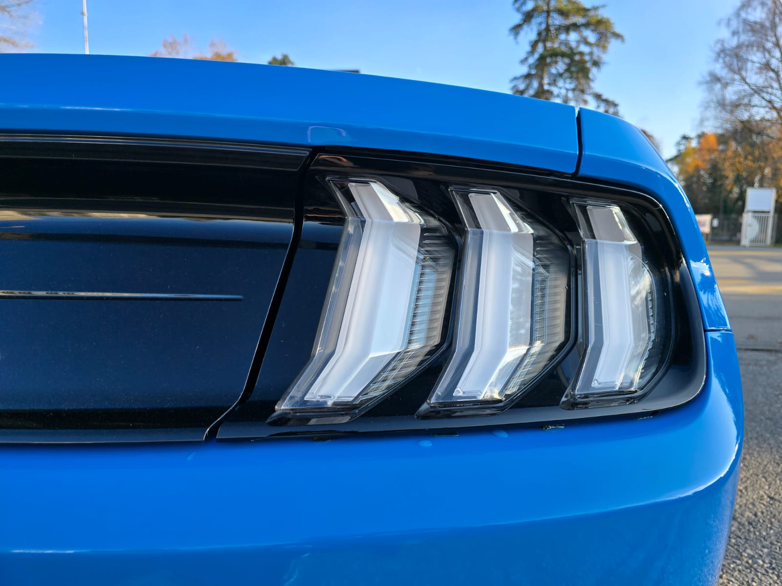 FORD 5.0 V8 GT Special Carbon Edition-image-6