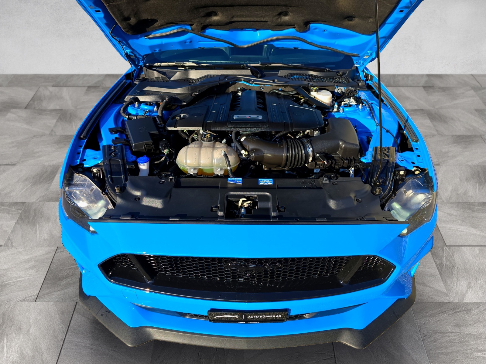FORD 5.0 V8 GT Special Carbon Edition-image-4