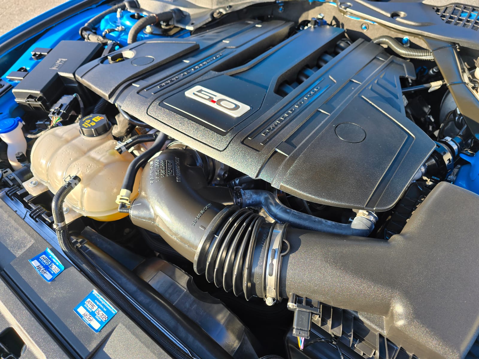FORD 5.0 V8 GT Special Carbon Edition-image-31