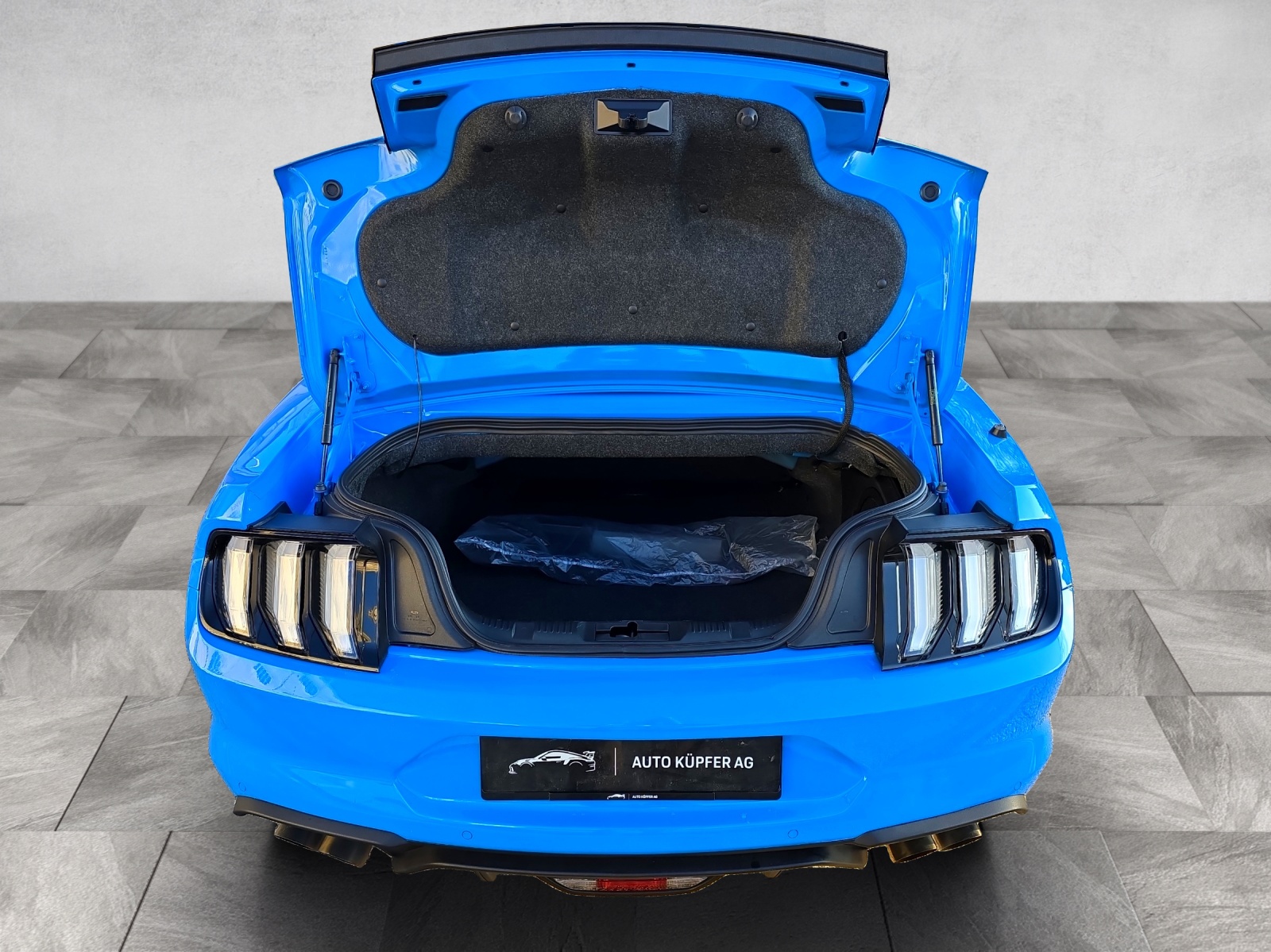FORD 5.0 V8 GT Special Carbon Edition-image-5