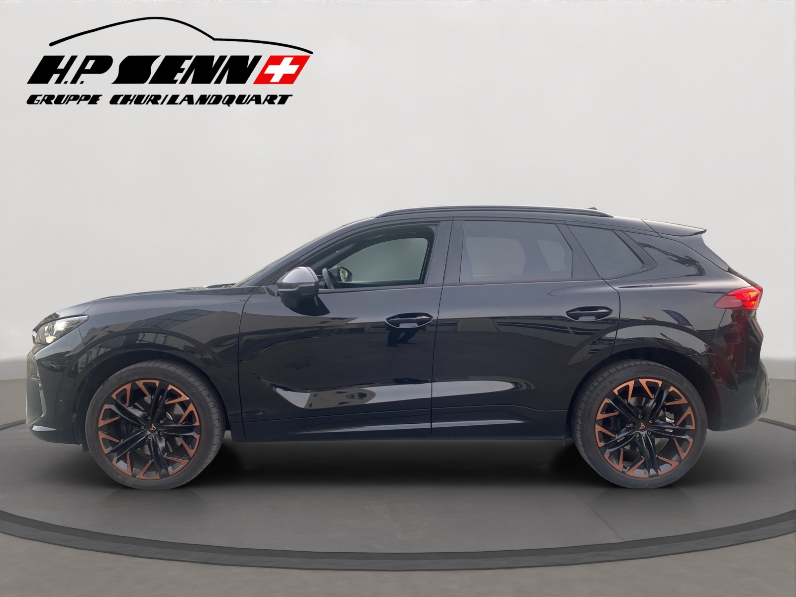 CUPRA CUPRA Terramar 2.0 TSI DSG 4Drive VZ AHK-showroom-element-1