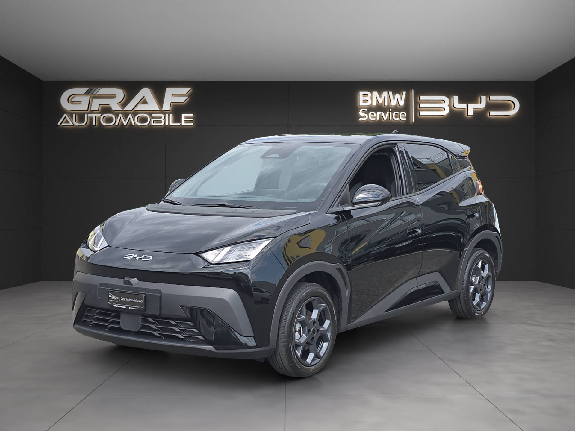 BYD Dolphin Surf Comfort