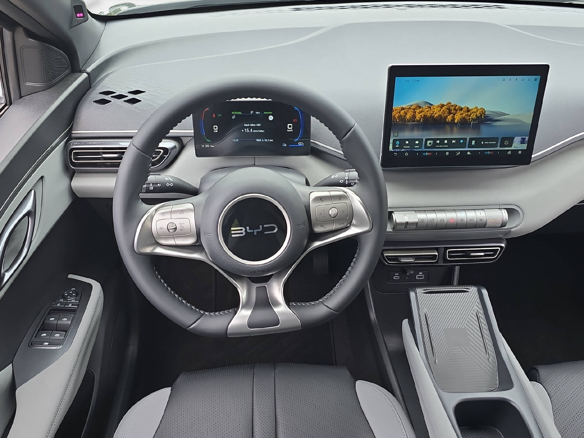BYD Dolphin Surf Comfort-image-12