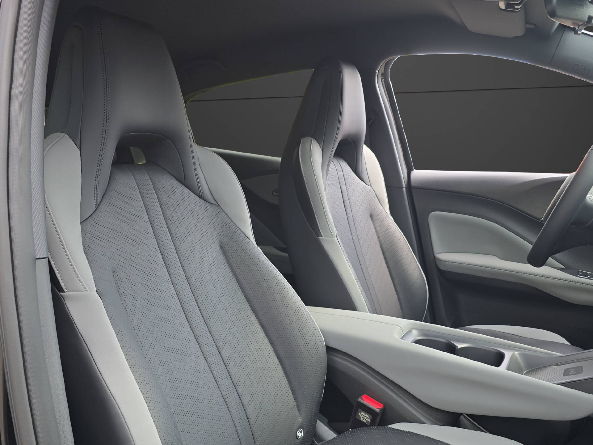 BYD Dolphin Surf Comfort-image-10