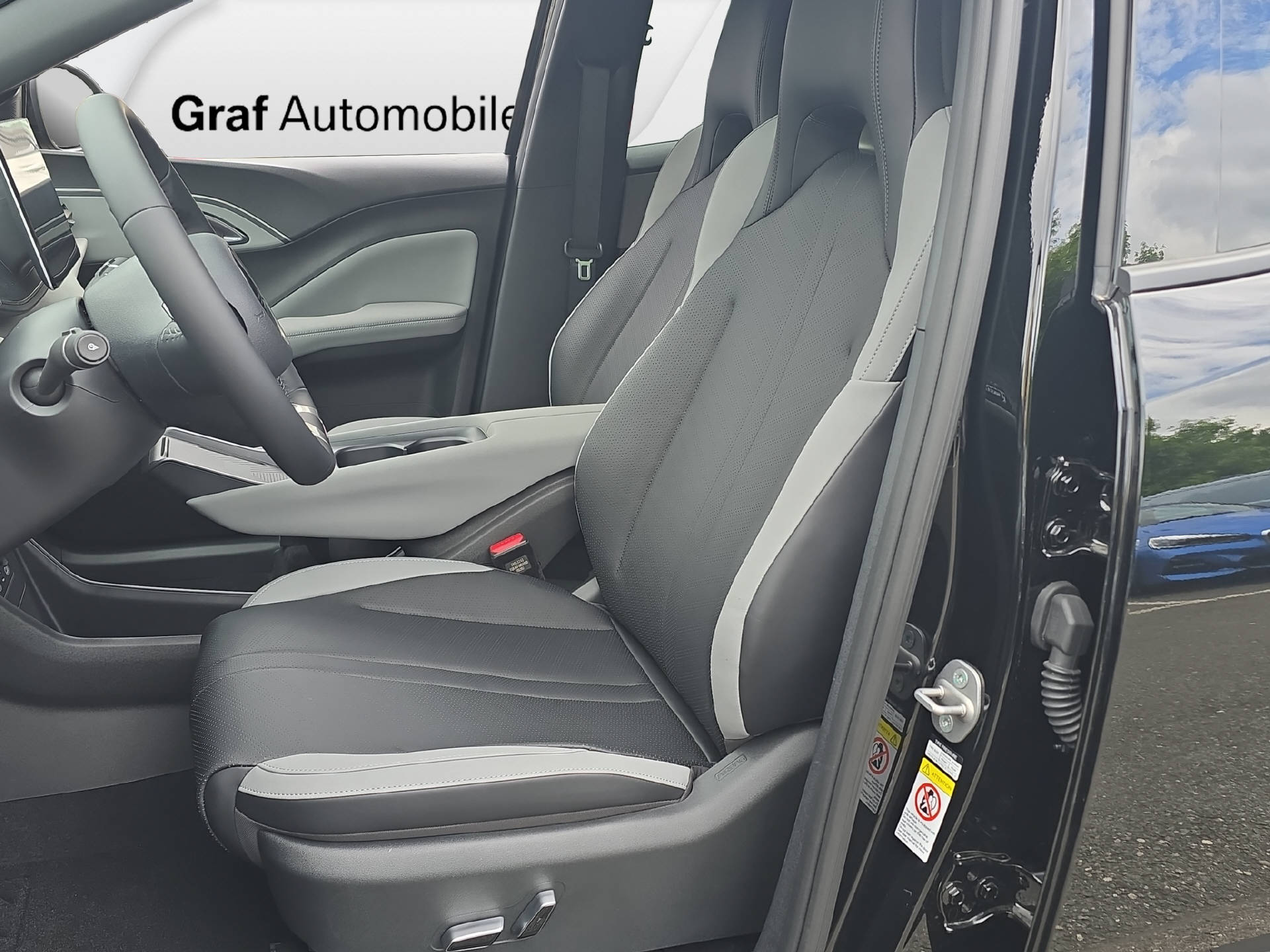 BYD Dolphin Surf Comfort-image-7