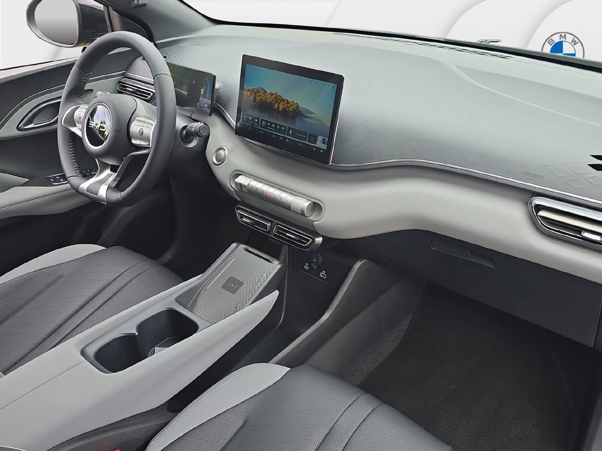 BYD Dolphin Surf Comfort-image-9
