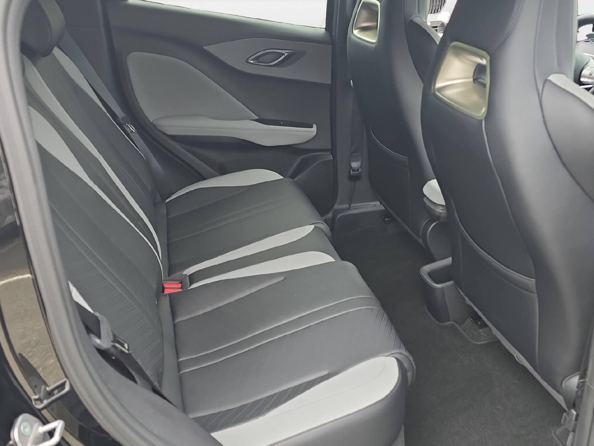BYD Dolphin Surf Comfort-image-10
