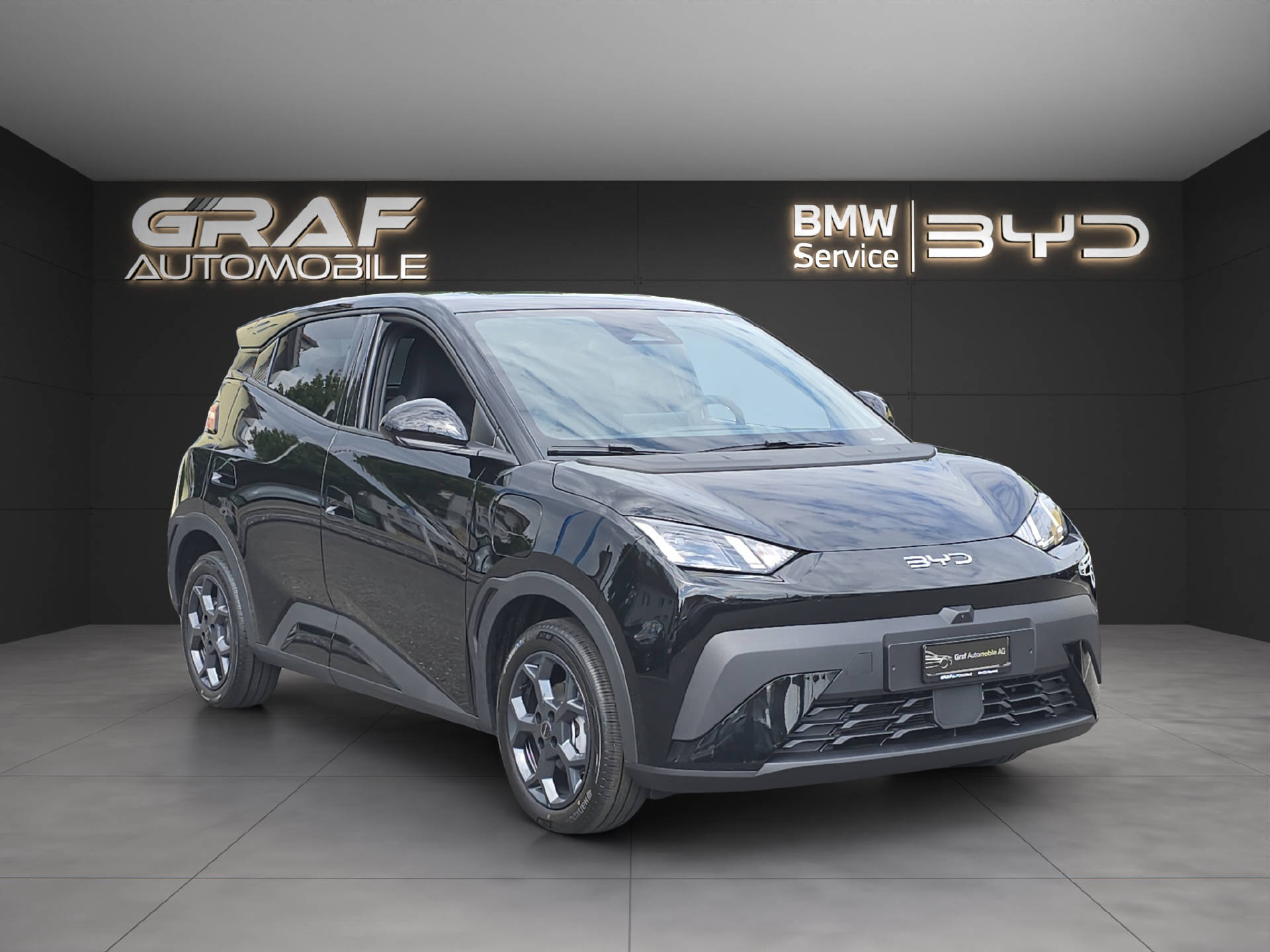 BYD Dolphin Surf Comfort-showroom-element-2