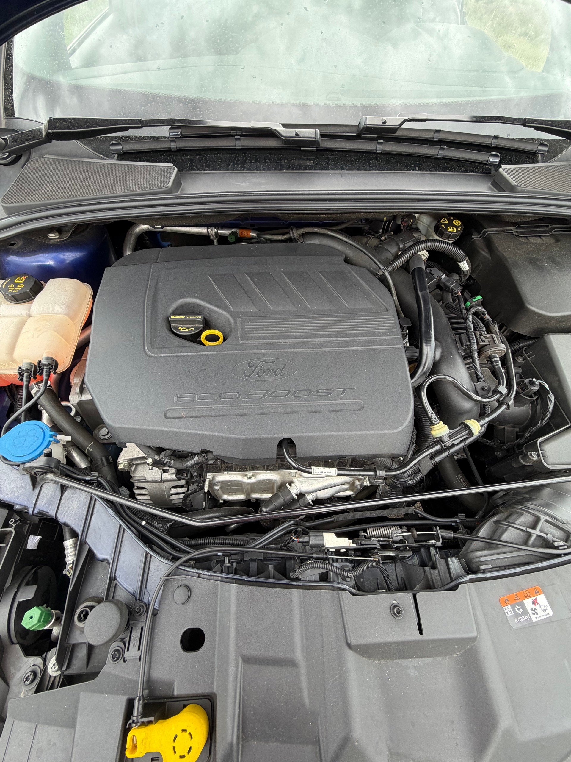 FORD Focus 1.5 SCTi ST Line-image-13