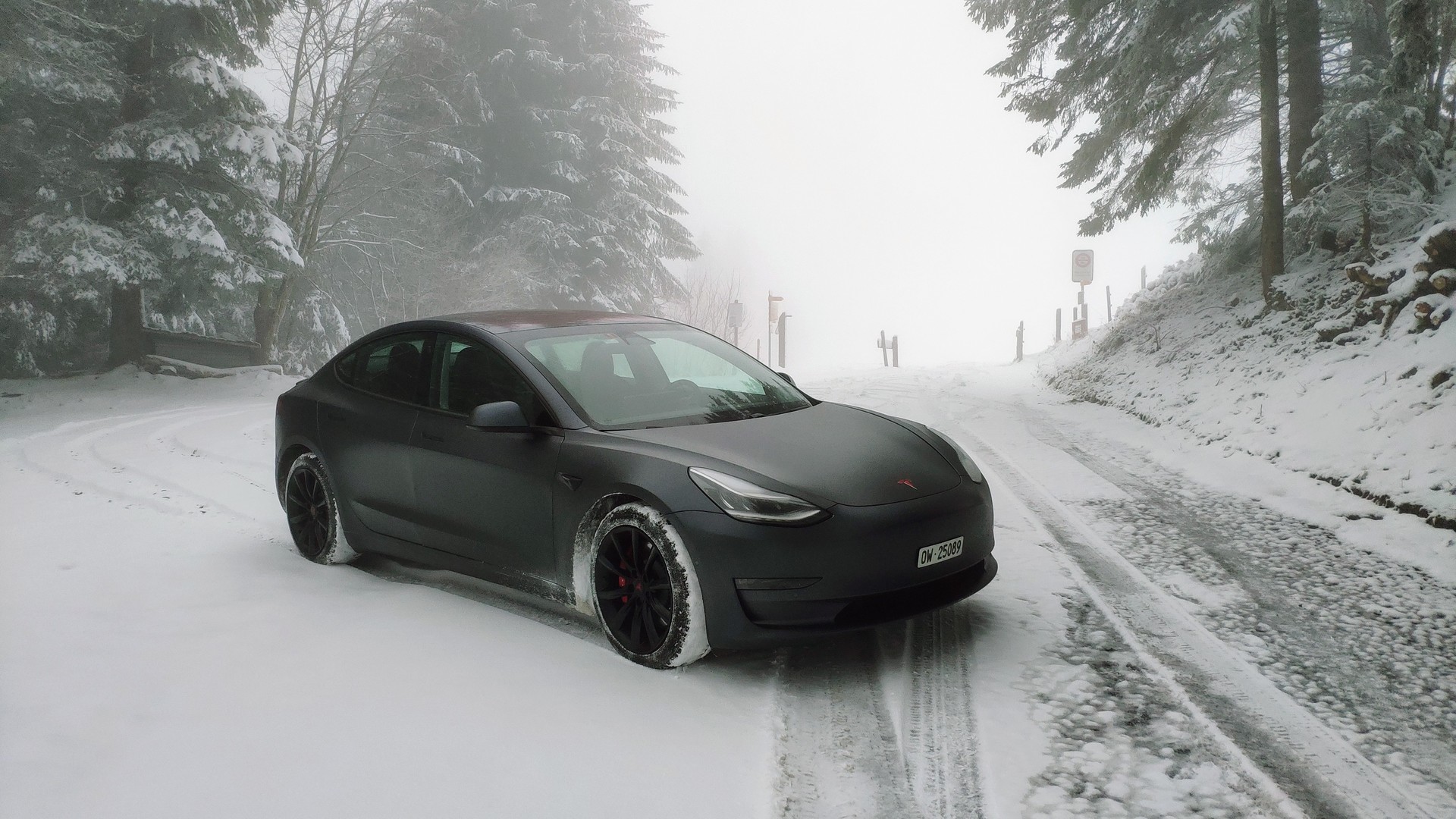 TESLA Performance Dual Motor AWD-image-5