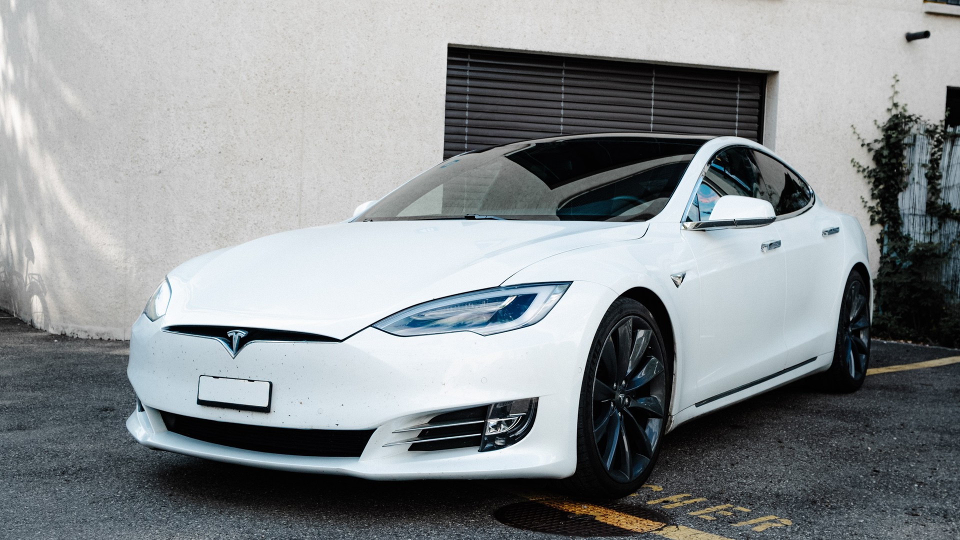 TESLA Model S Long Range Raven-image-0