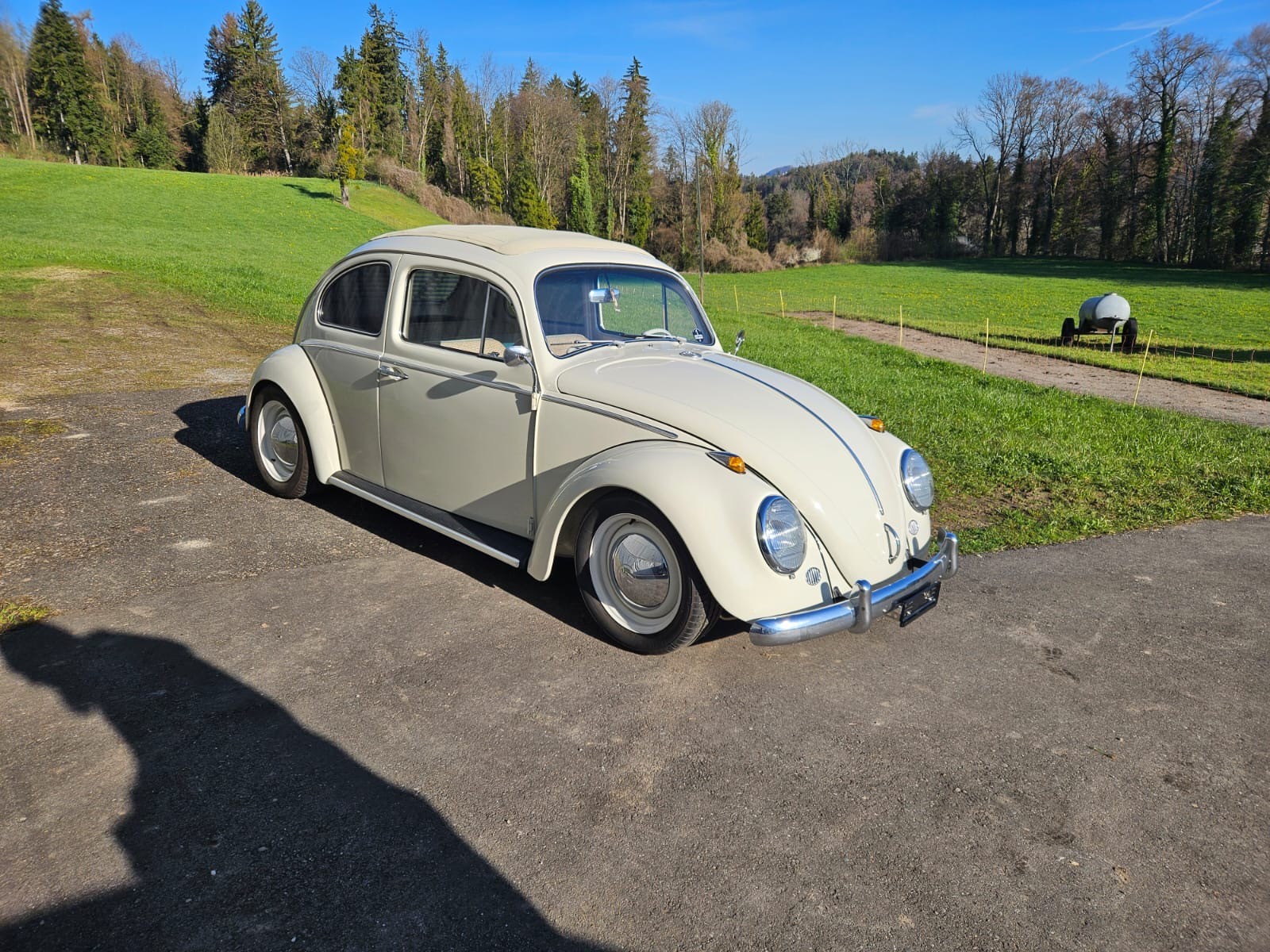 VW DE LUXE-image-2