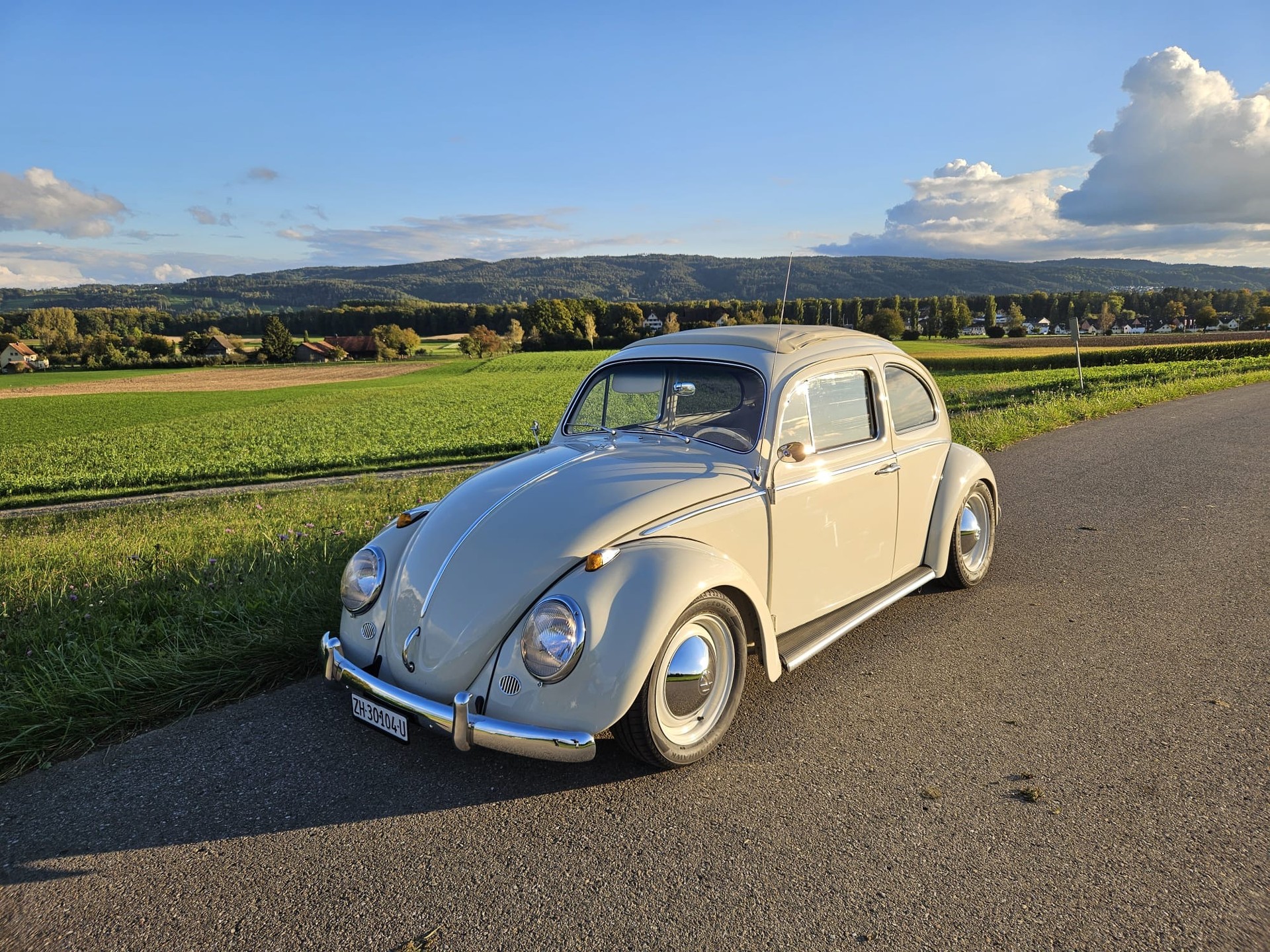 VW DE LUXE-image-0