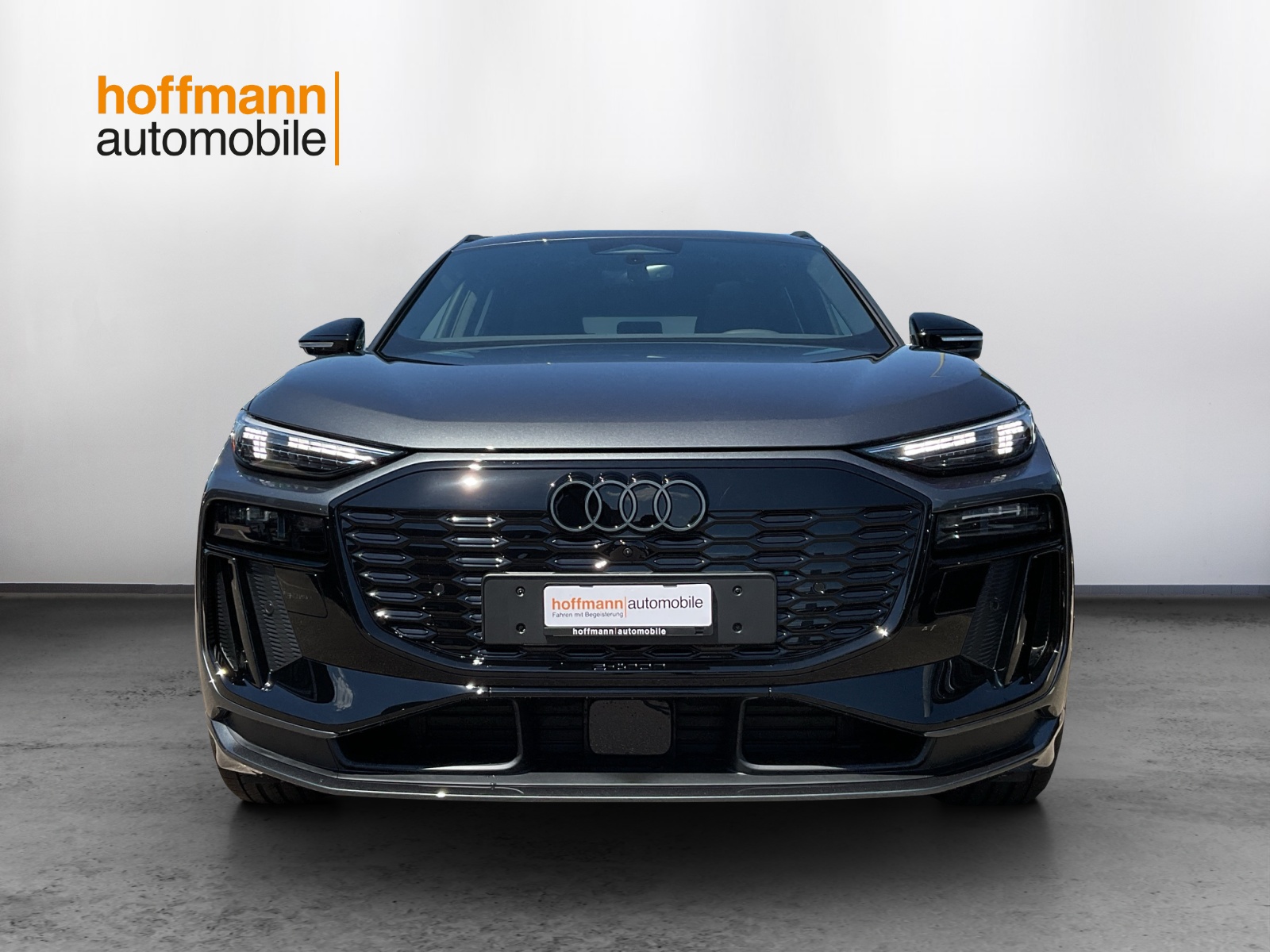 AUDI Q6 e-tron quattro-showroom-element-1