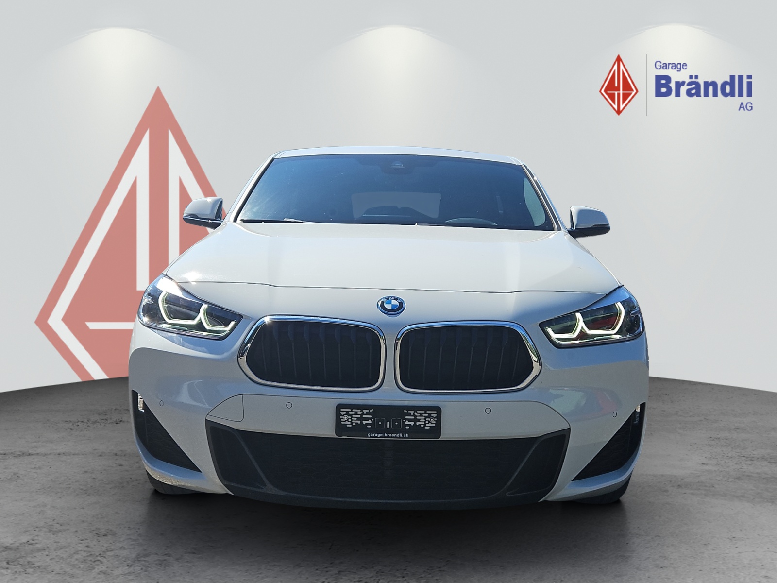 BMW X2 25e xDrive-image-1