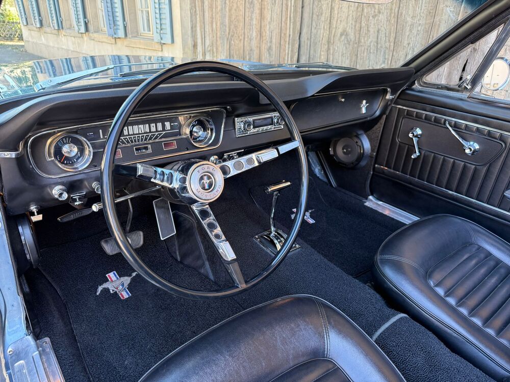 FORD MUSTANG-image-10