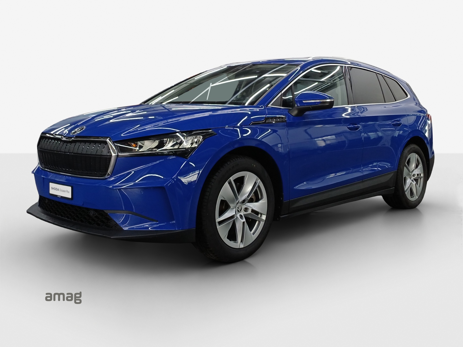 SKODA Enyaq iV 80x-image-0