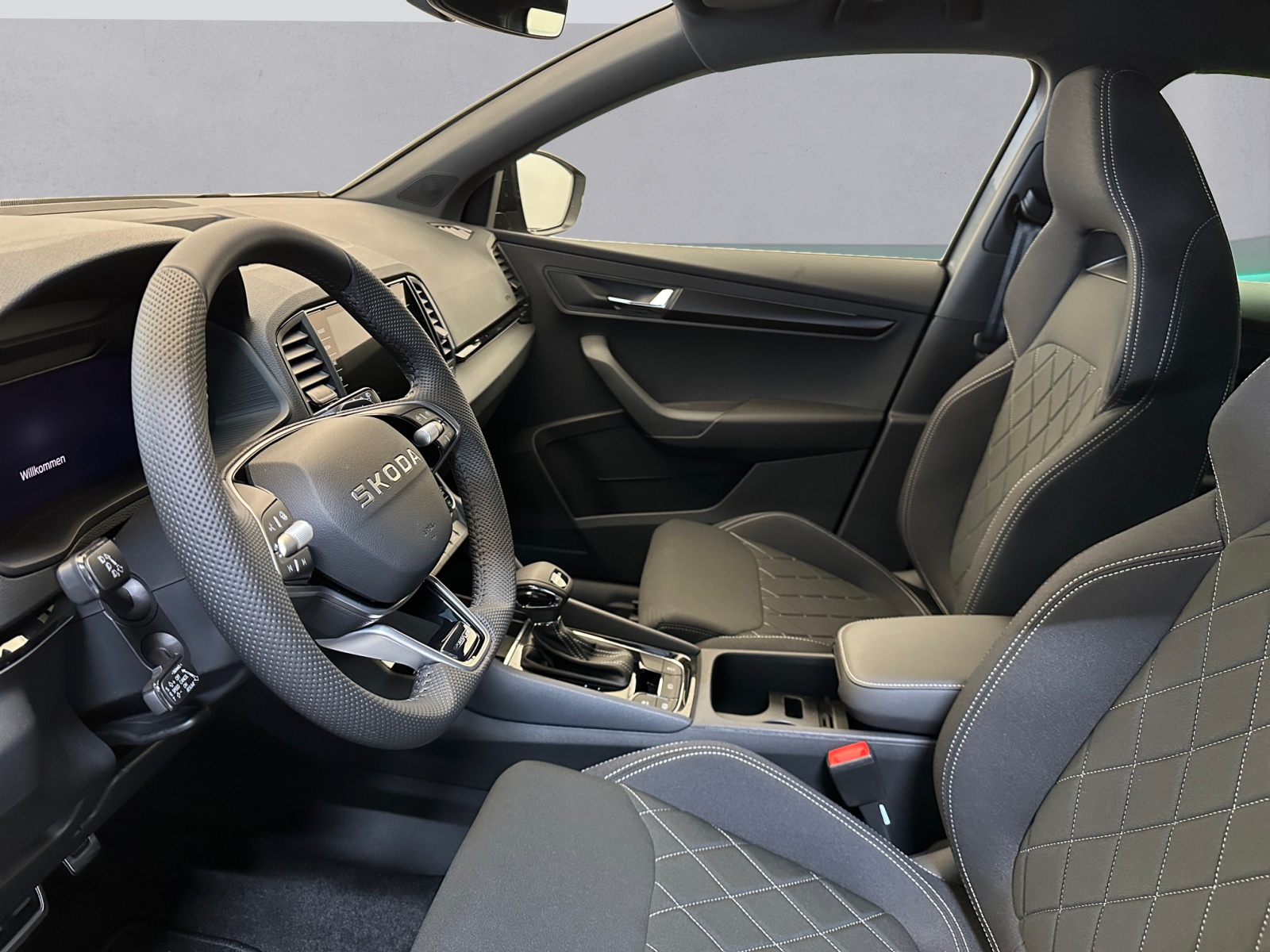 SKODA Karoq 2.0 TSI Dynamic Limited Edition 4x4 DSG-image-8