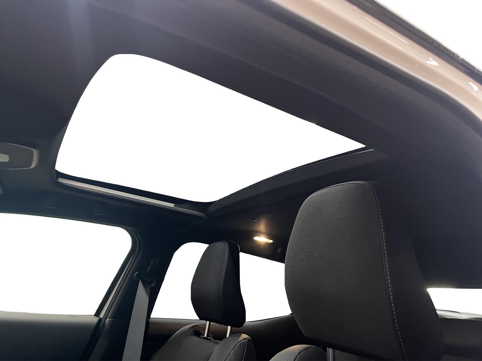 TOYOTA Urban Cruiser Premium AWD-image-13
