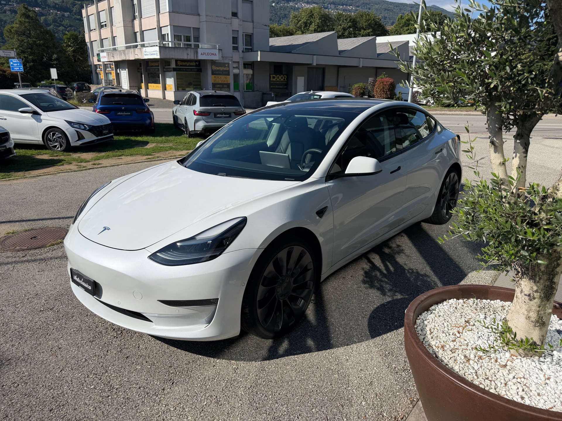 TESLA Model 3 Performance Dual Motor AWD-image-5