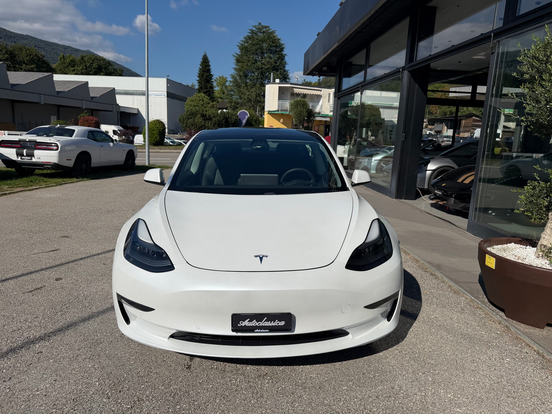 TESLA Model 3 Performance Dual Motor AWD-image-1