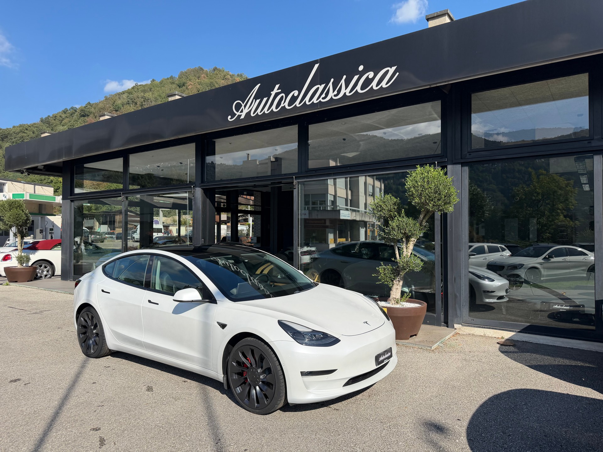 TESLA Model 3 Performance Dual Motor AWD-image-4