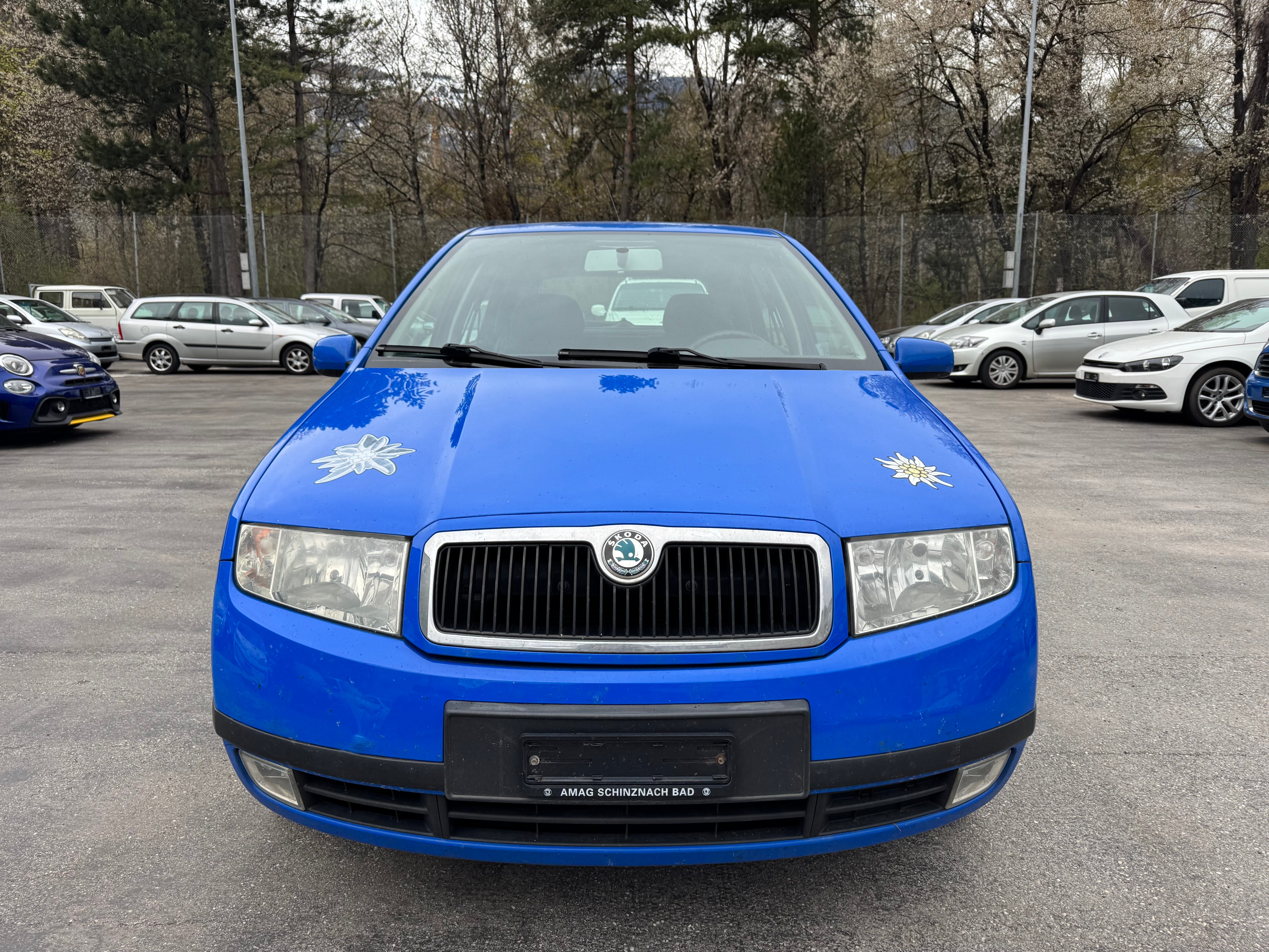 Car photo