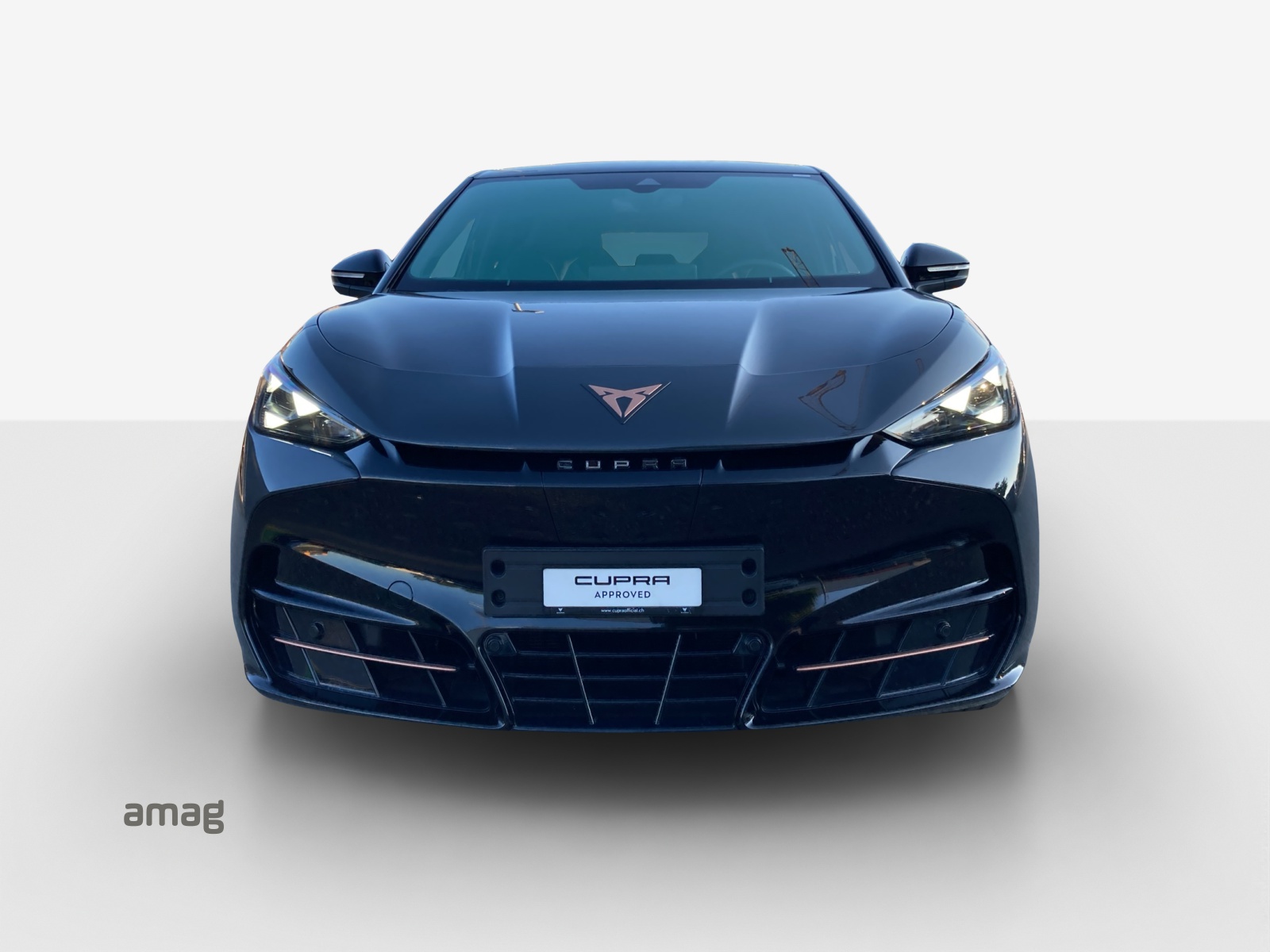 CUPRA Tavascan Type 8 77 kWh VZ-image-6