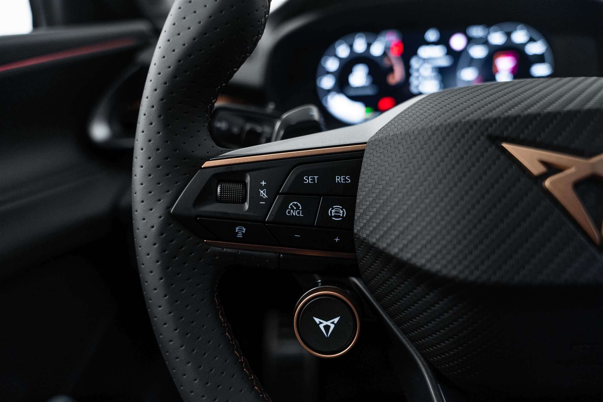 CUPRA CUPRA Terramar 1.5 eTSi DSG-Automat-image-14