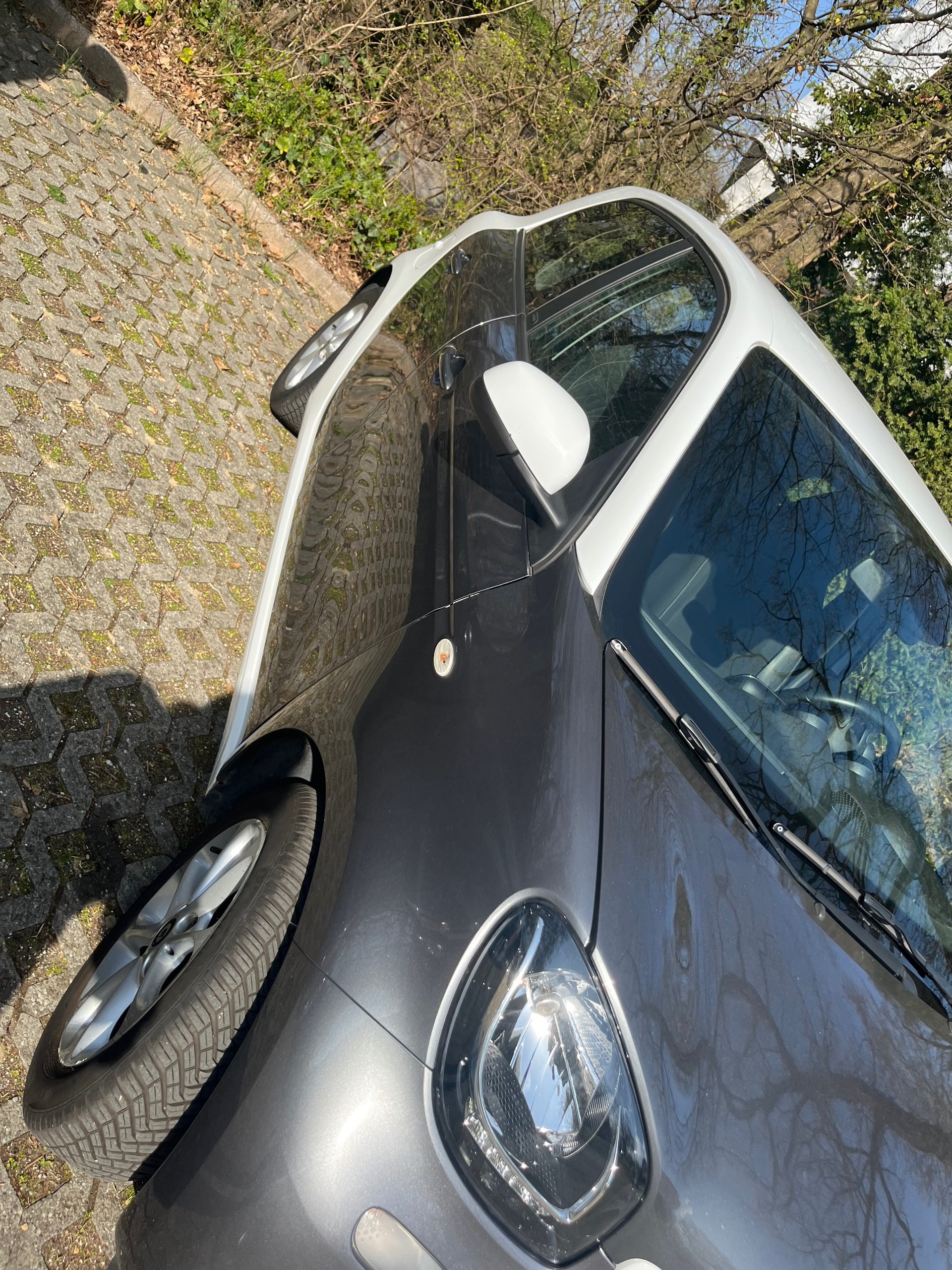 SMART forfour passion-image-16