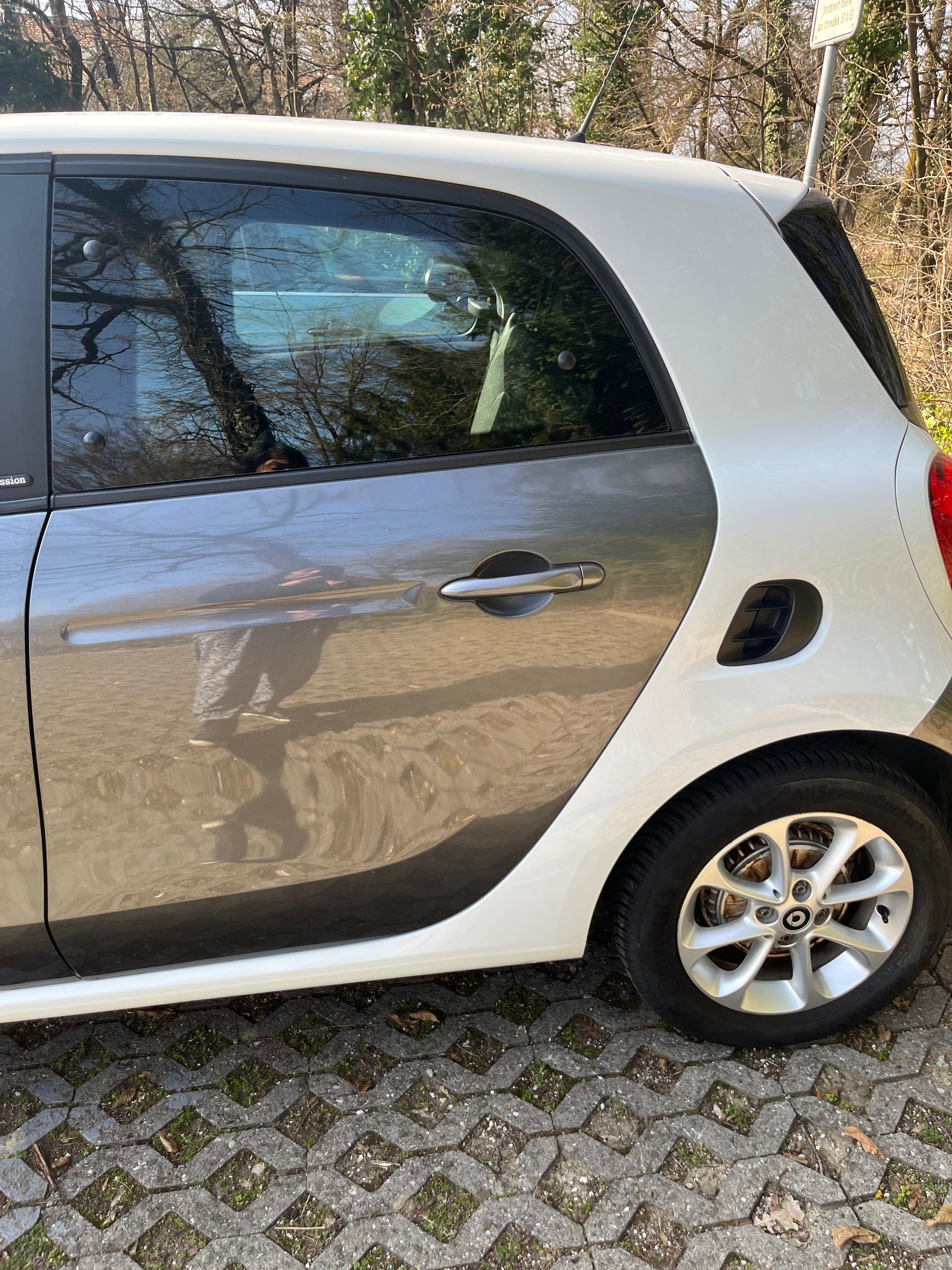 SMART forfour passion-image-12